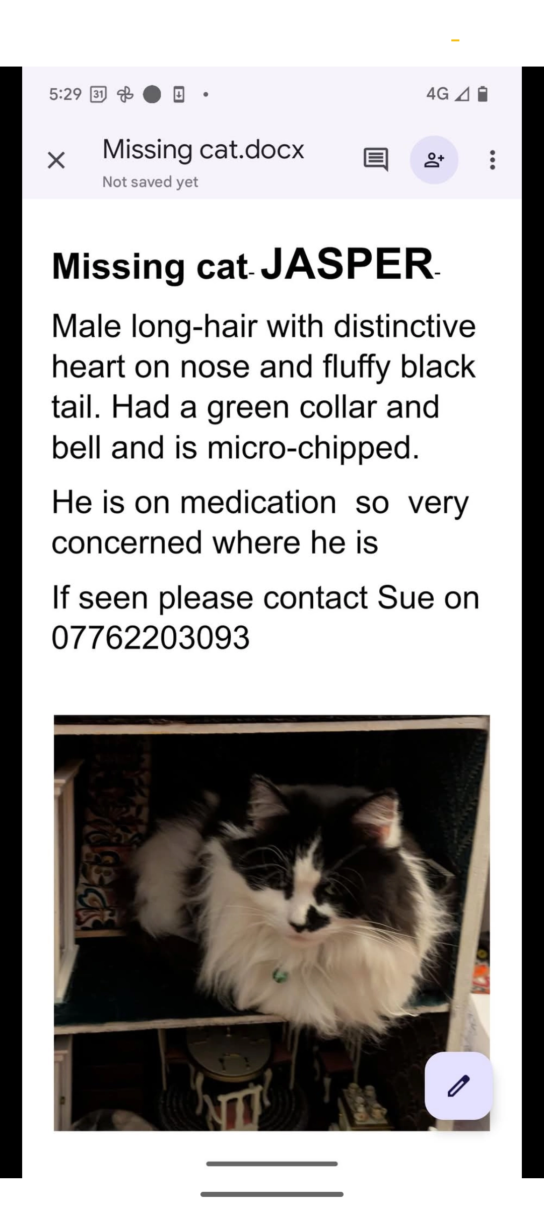 Jasper - Belle Vue Road, Cwmbran