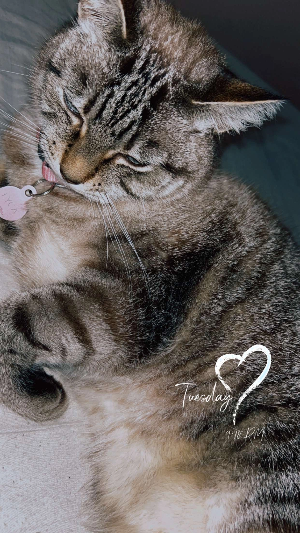 Lyka - Clos de l'Aulnay, Darnétal