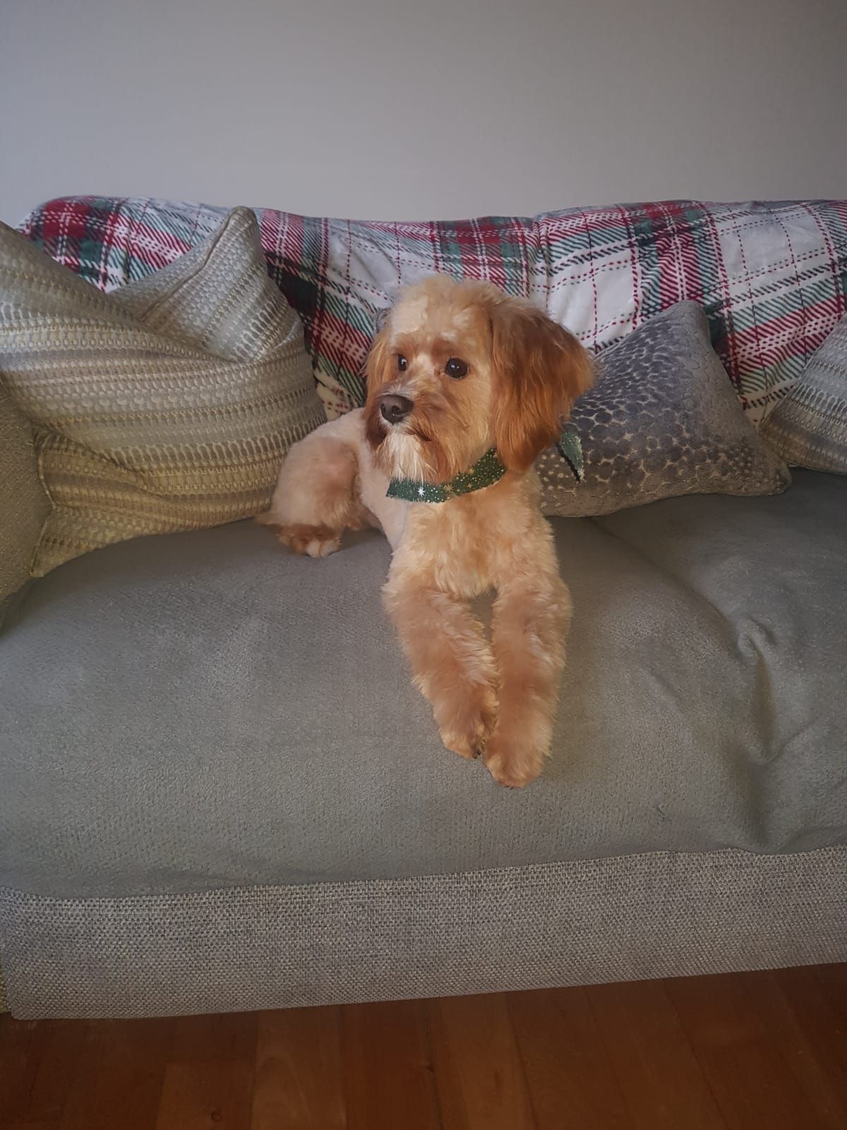 Chase - Clon Road, Londonderry