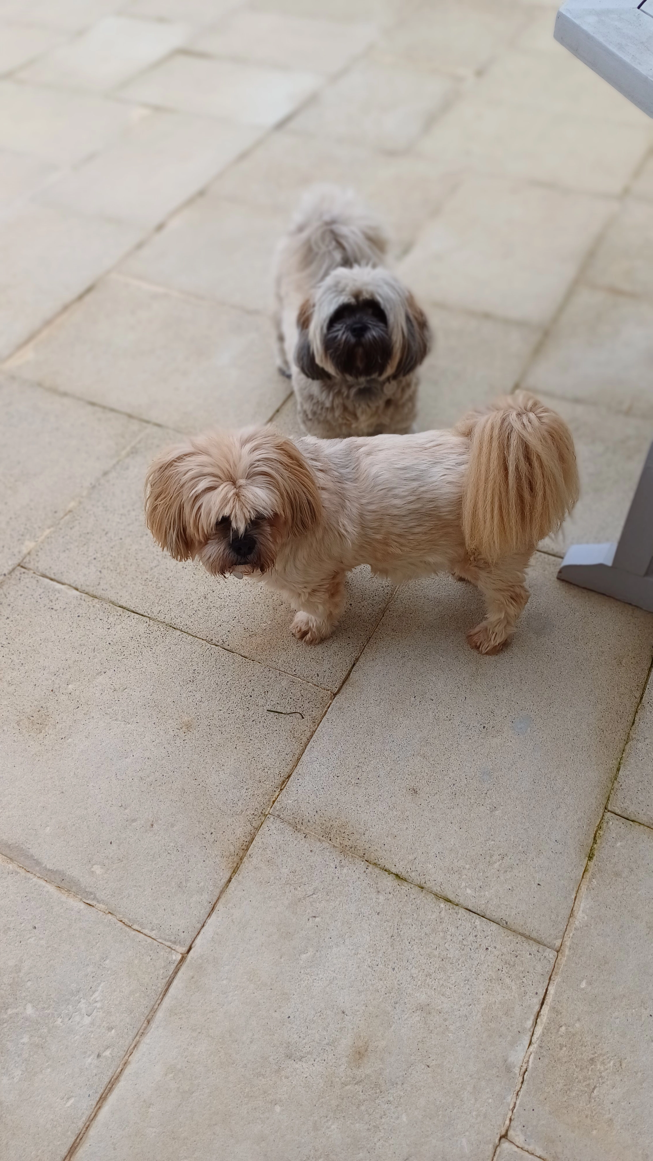 HELIOT - 14 Route de Chalon, Buxy