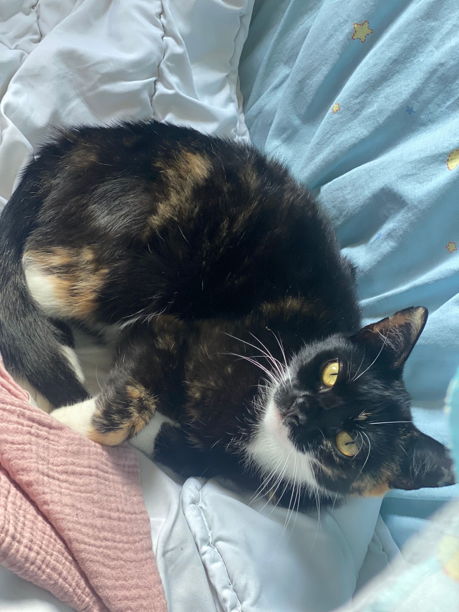 Mia - Giehler Straße, Gnarrenburg