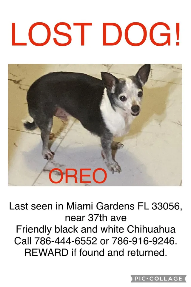 Oreo - Northwest 34th Court, Miami Gardens