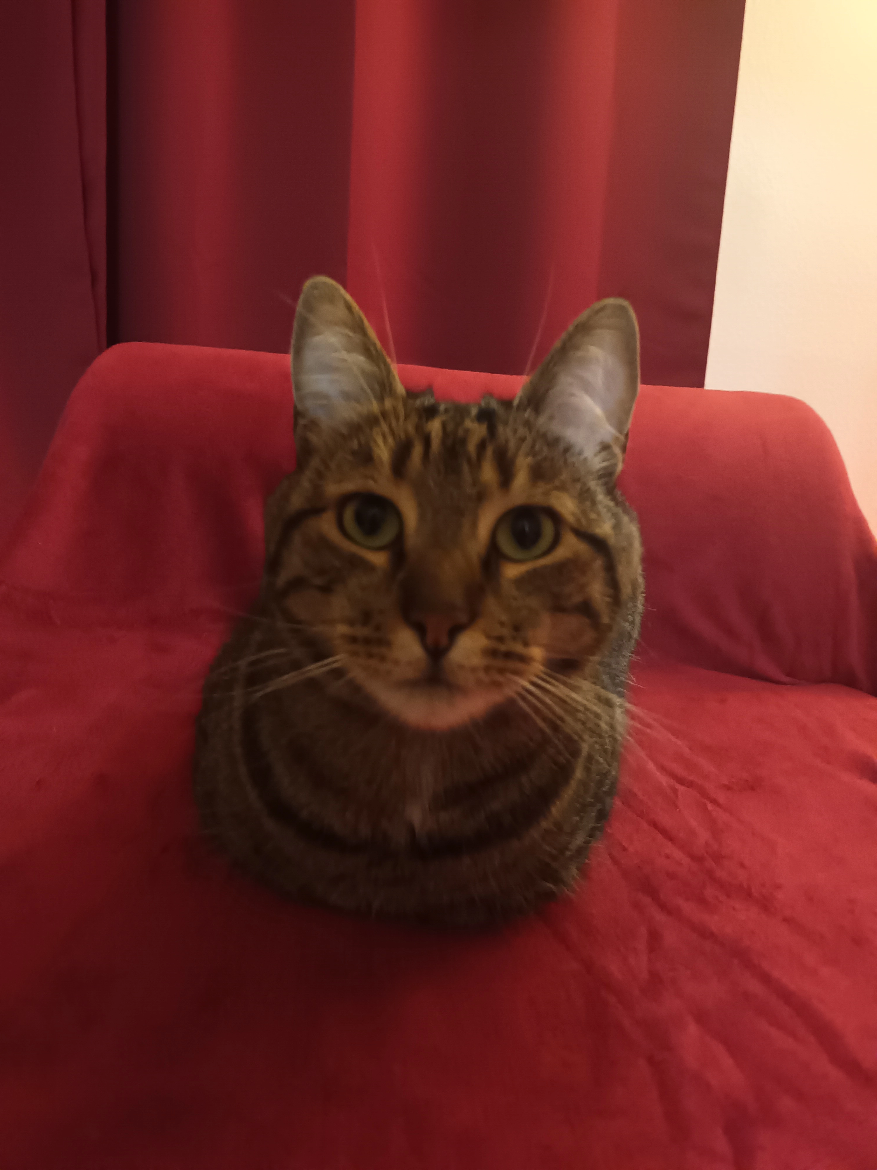 Kaïdo - 4 Sentier de Fontenay, Sceaux