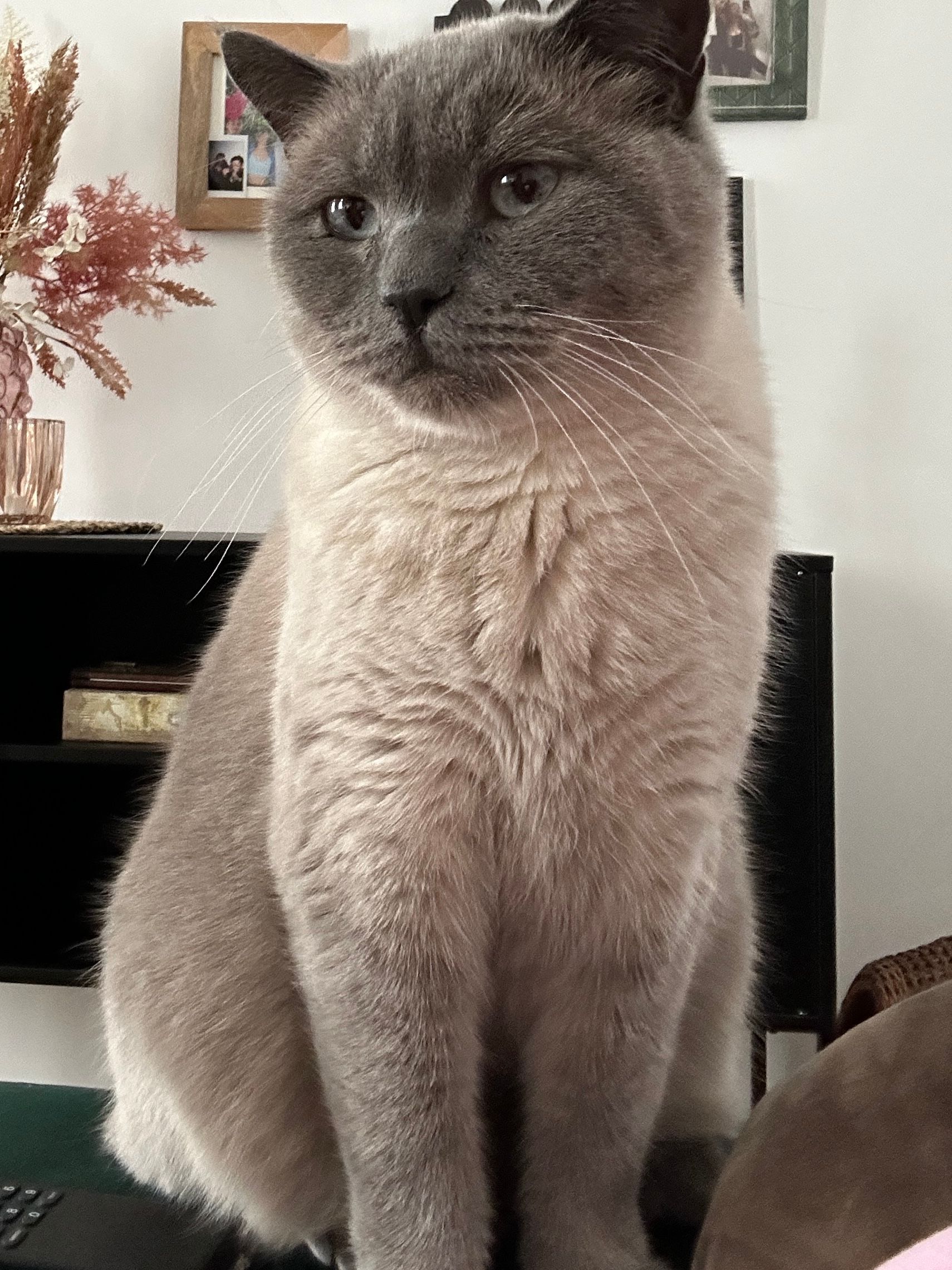 Carlo - Bahnstraße, Wittenberge