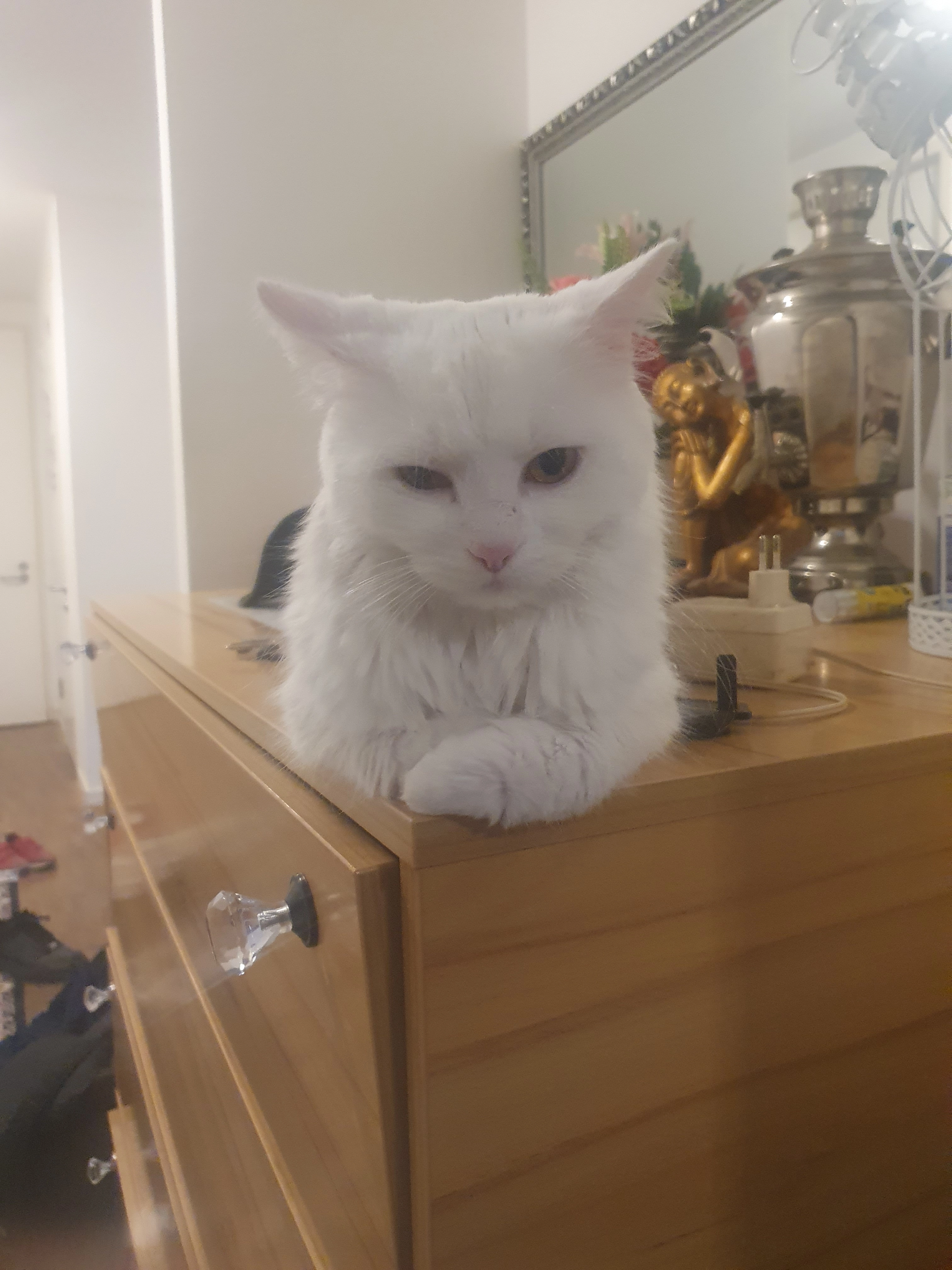 Gabriel - Breslauer Straße, Ingolstadt