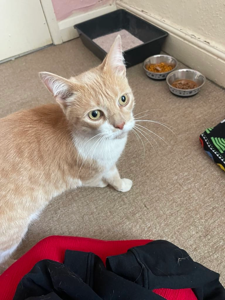 Max  - 7 Prospect Road, Arnhall Business Park