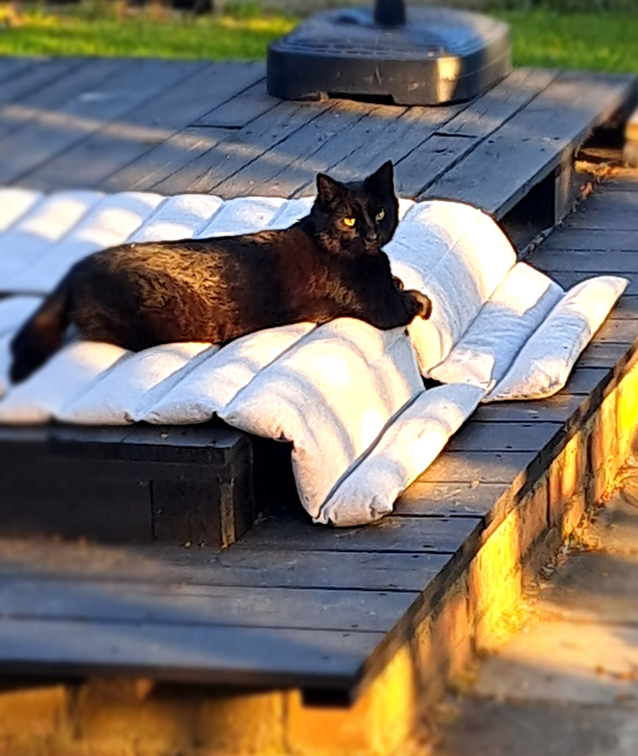 Mauzi - Königshainer Straße, Mittweida