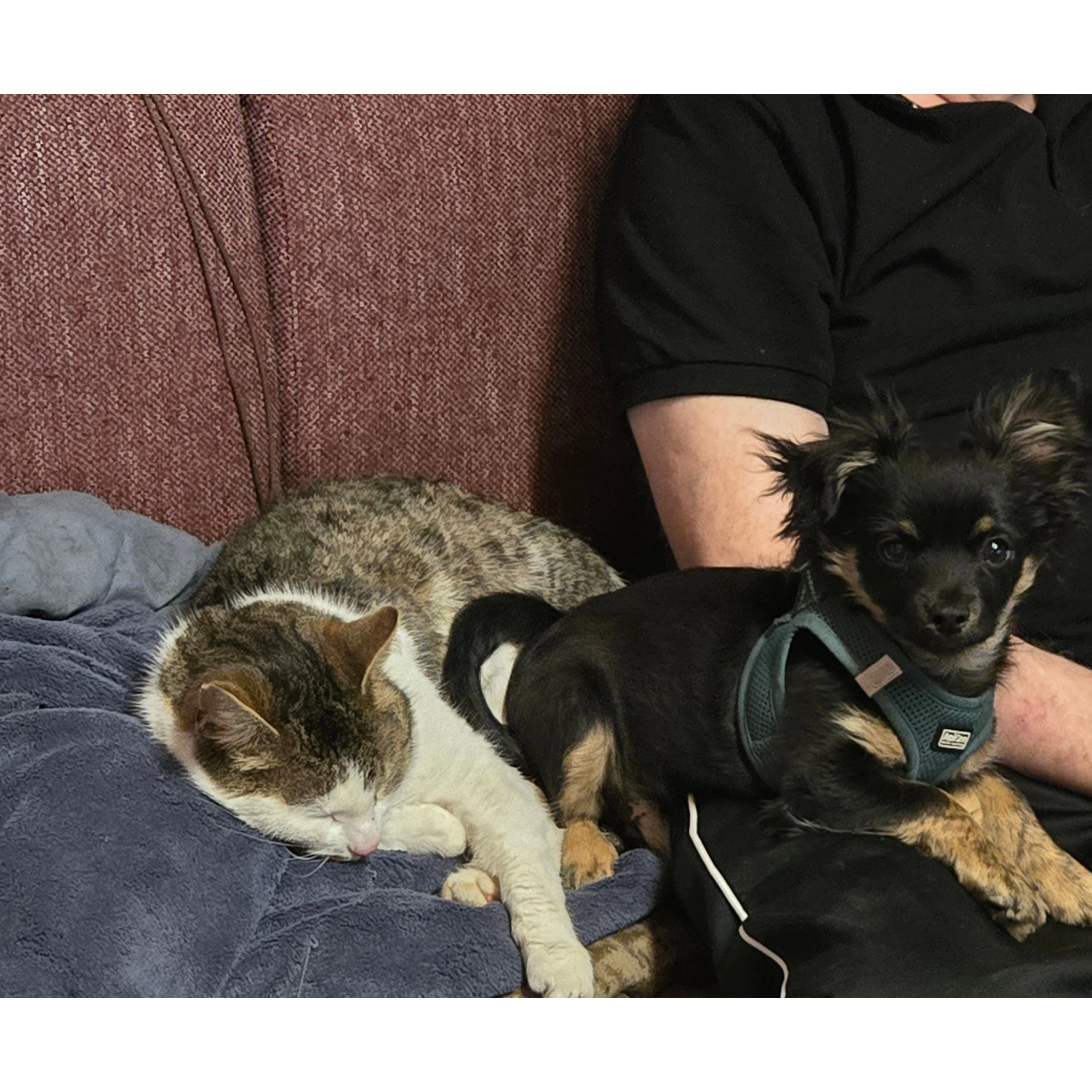 Tobi - Limburger Straße 23A, Hünfelden