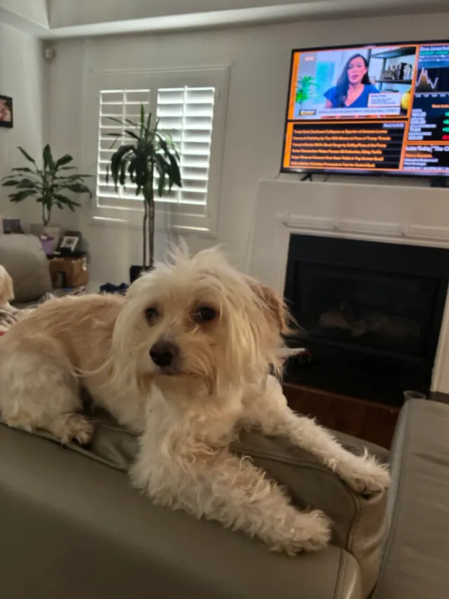 Chloe - Western Ave and Manchester Ave , Los Angeles