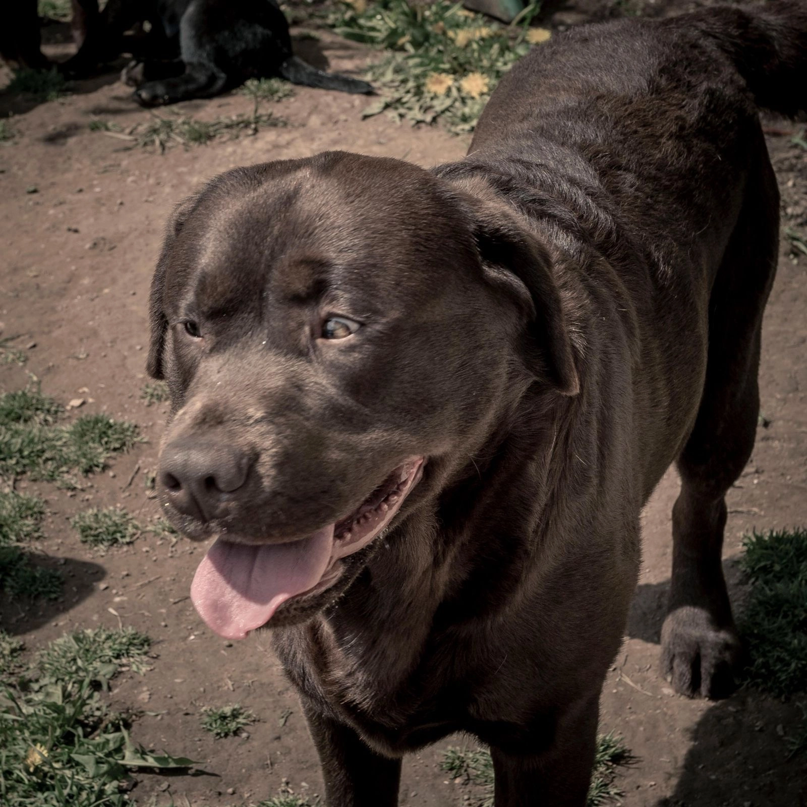 Fio - Im Oberdorf, Marpingen