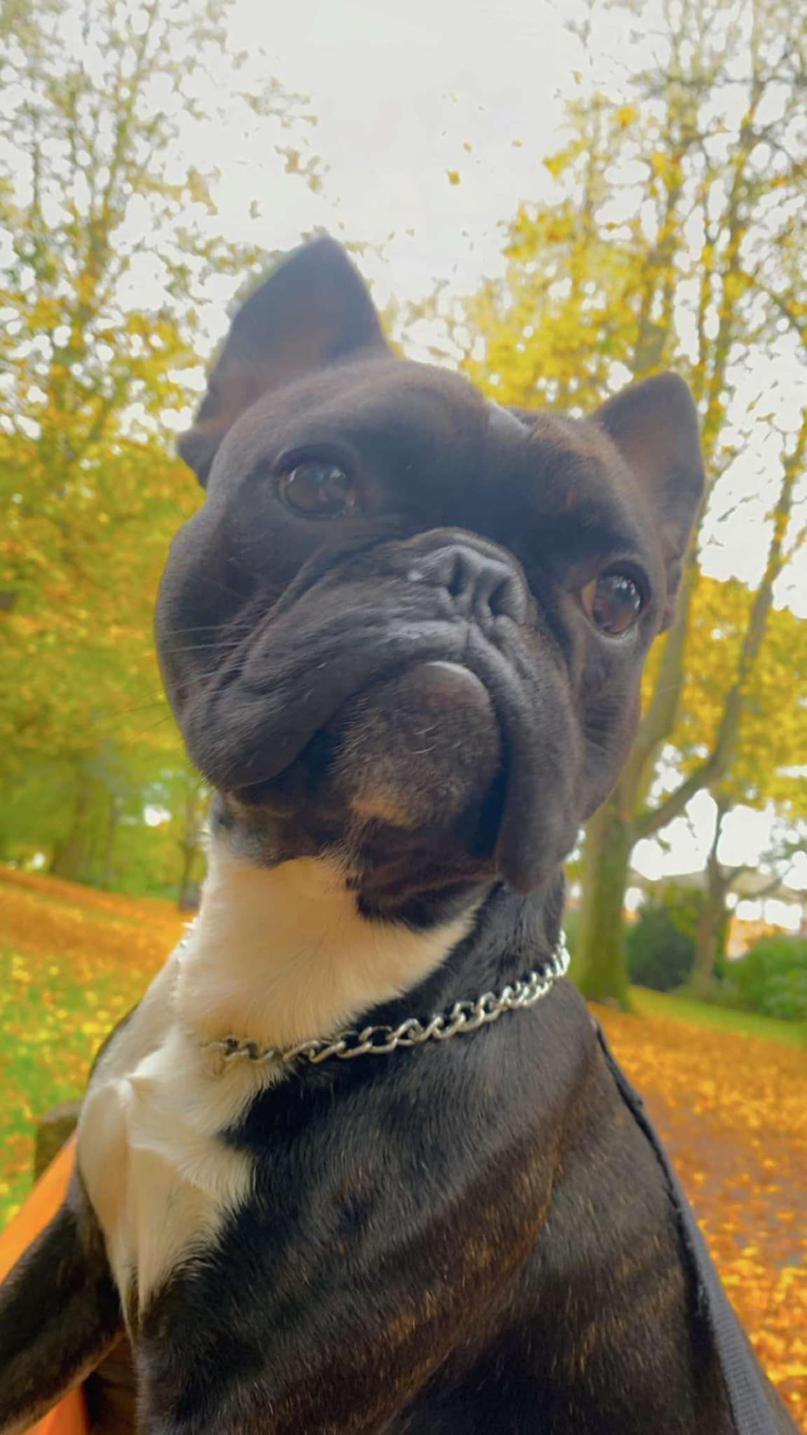 Johnbat - Church Hill, Aldershot