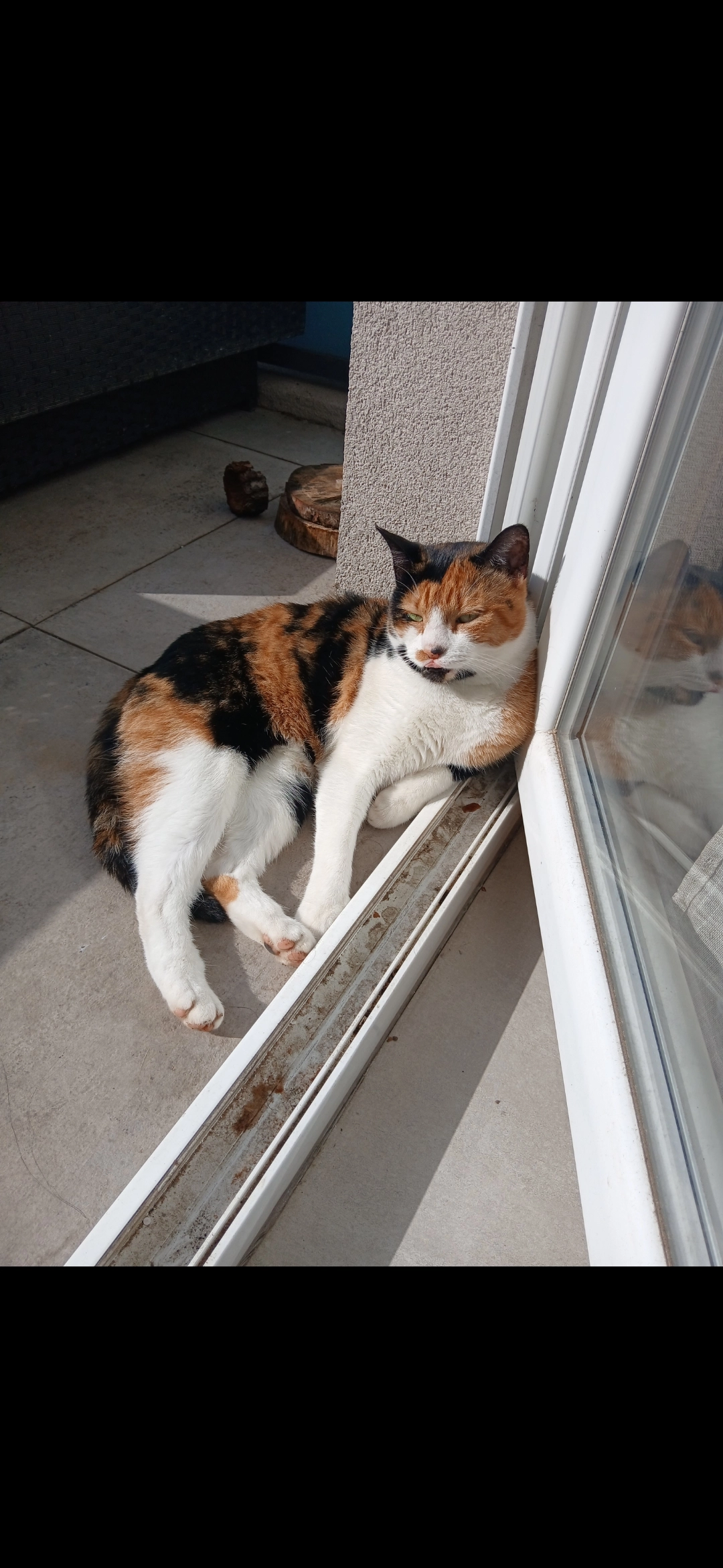 Mia - 84 Corniche fleurie 06200 nice, Nice