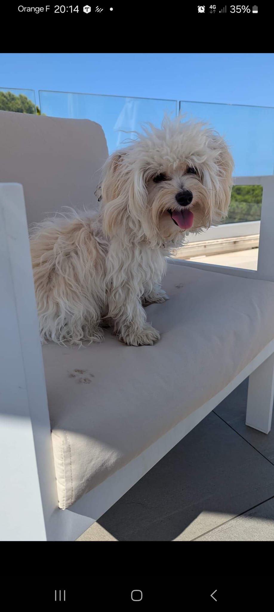 Uston - Allée Des Platanes, Gaujac