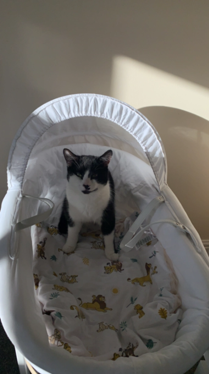 Milo - Memorial Road, Derby