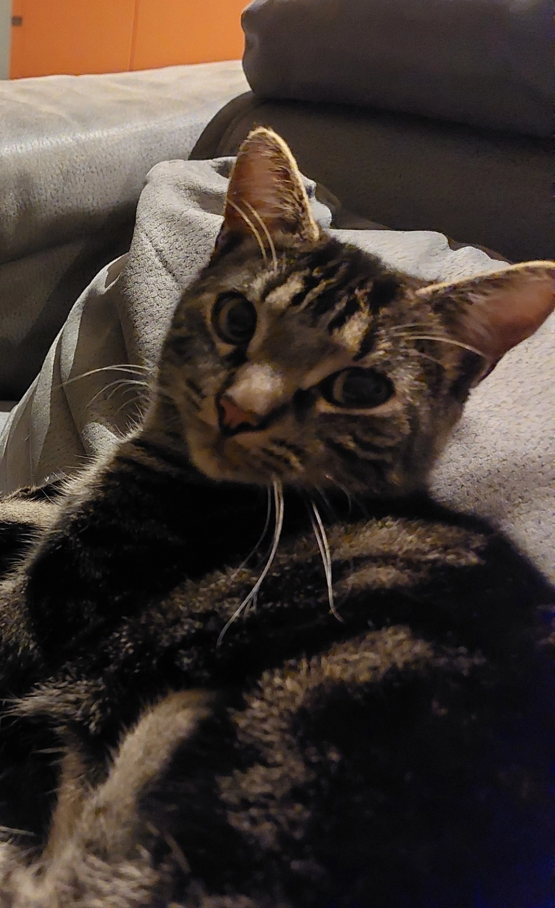 maze (prononcer MÚz) - Route Du Réservoir, Dingy-en-Vuache