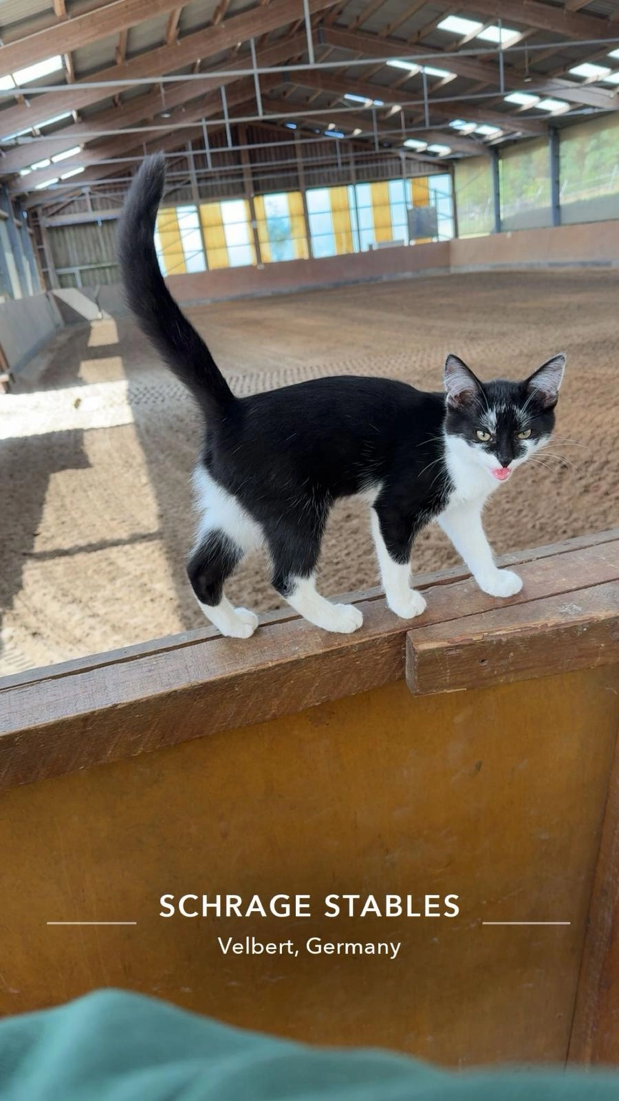 Modo - Wallmichrather Straße 26, Velbert