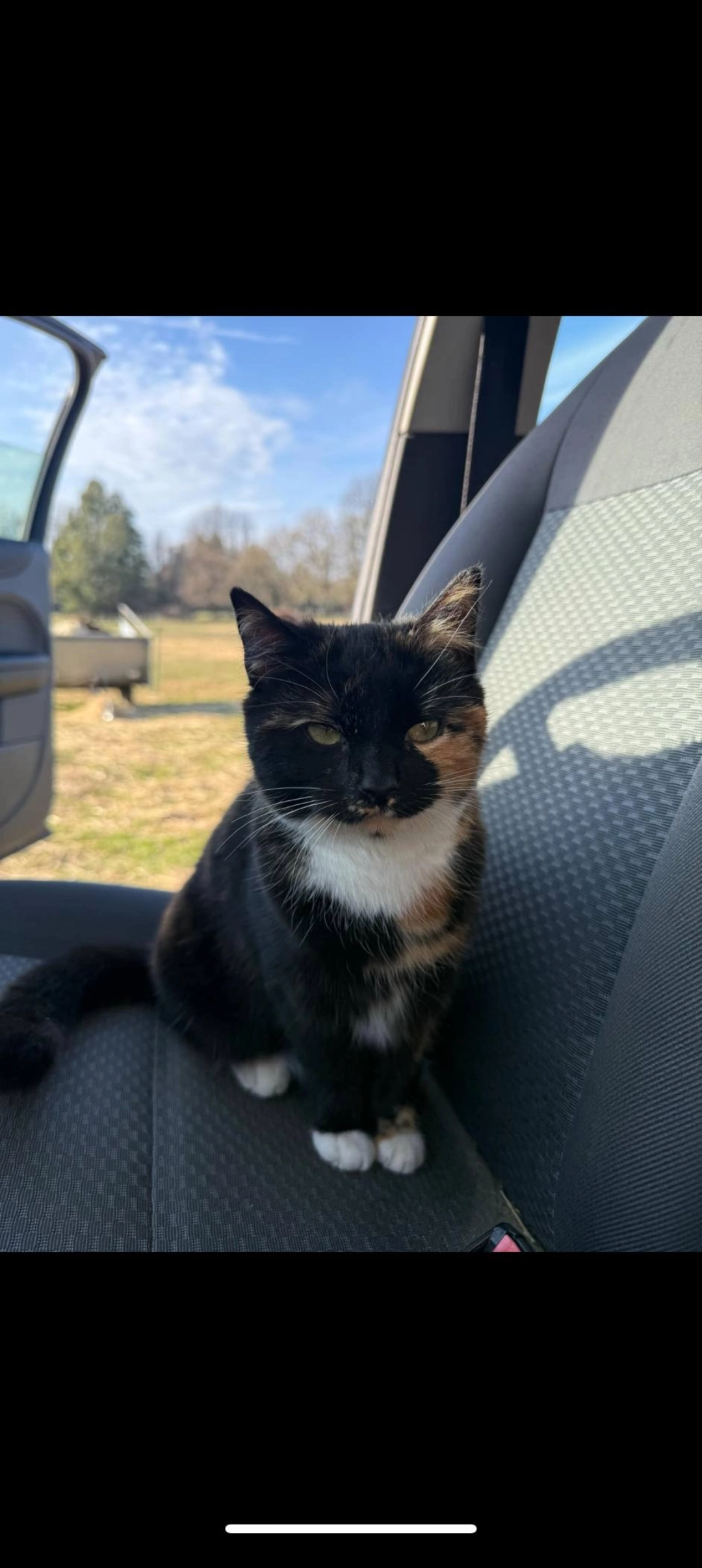 Tink - GU30 7, Liphook