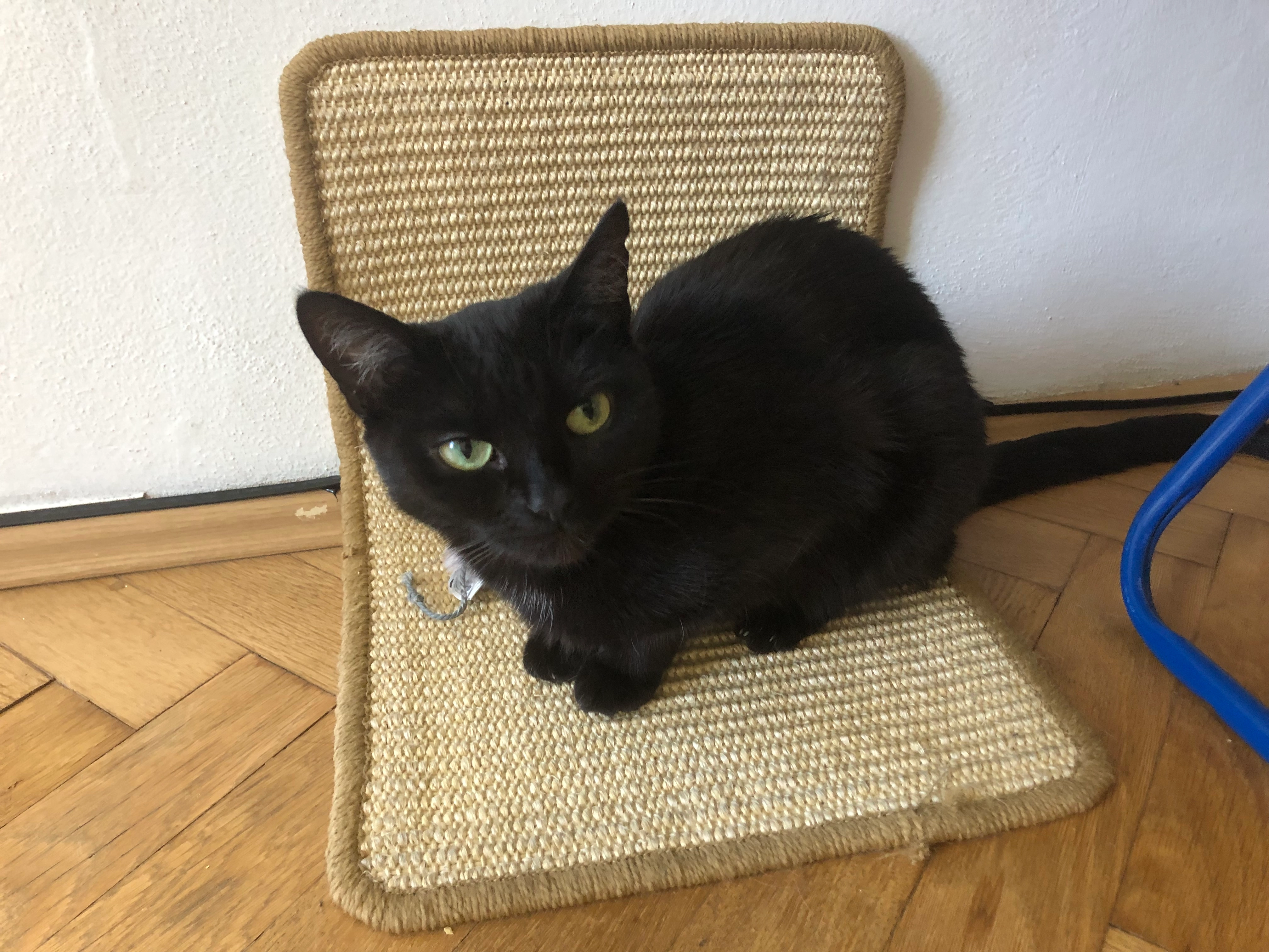 Aishi - Na Vinohradu, Prague