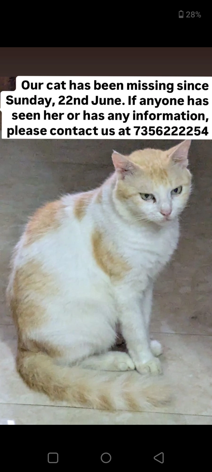 Sheemu - Mo Roard, Thrissur