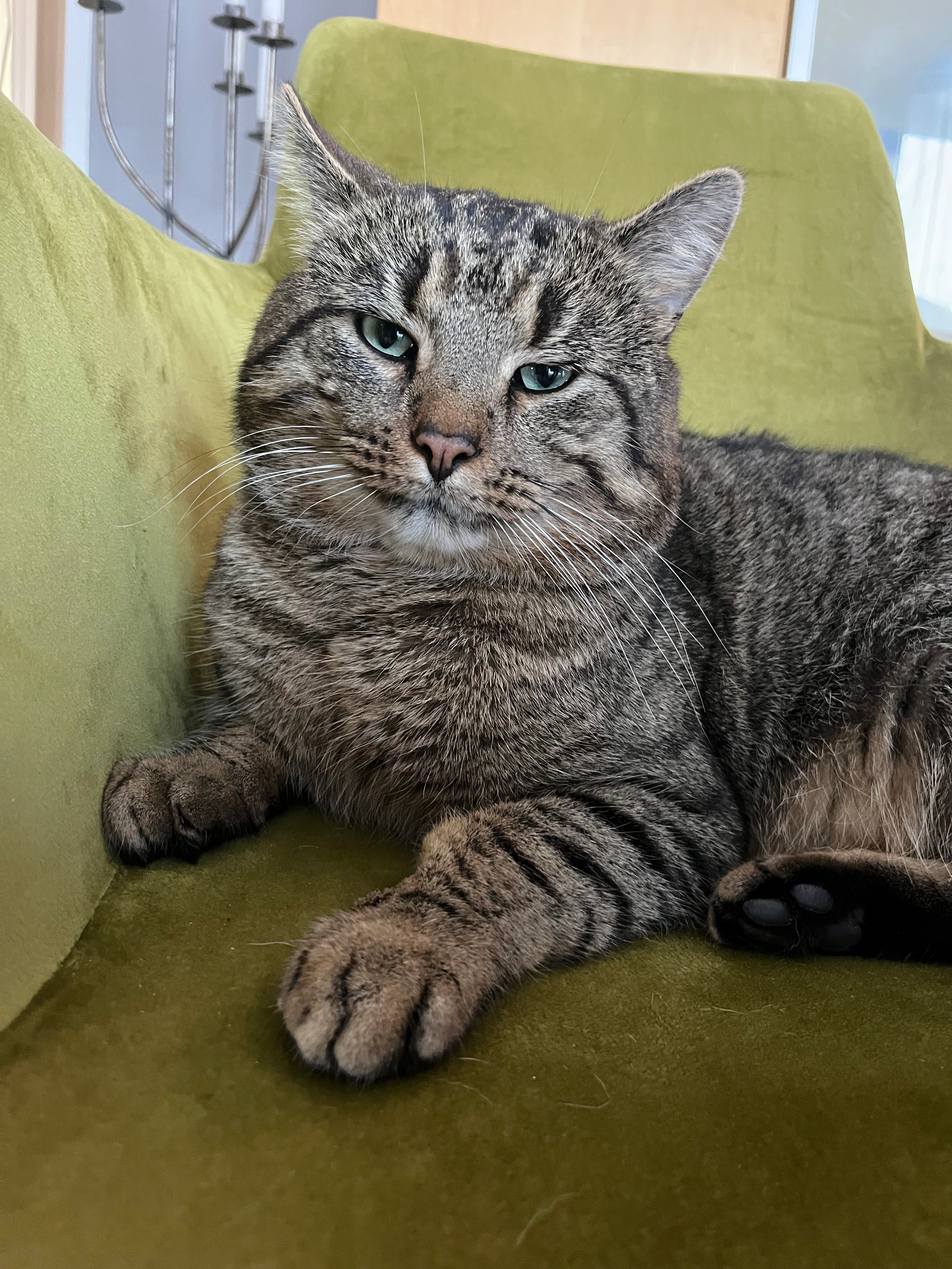 Nunu - Oberbecksener Straße, Bad Oeynhausen