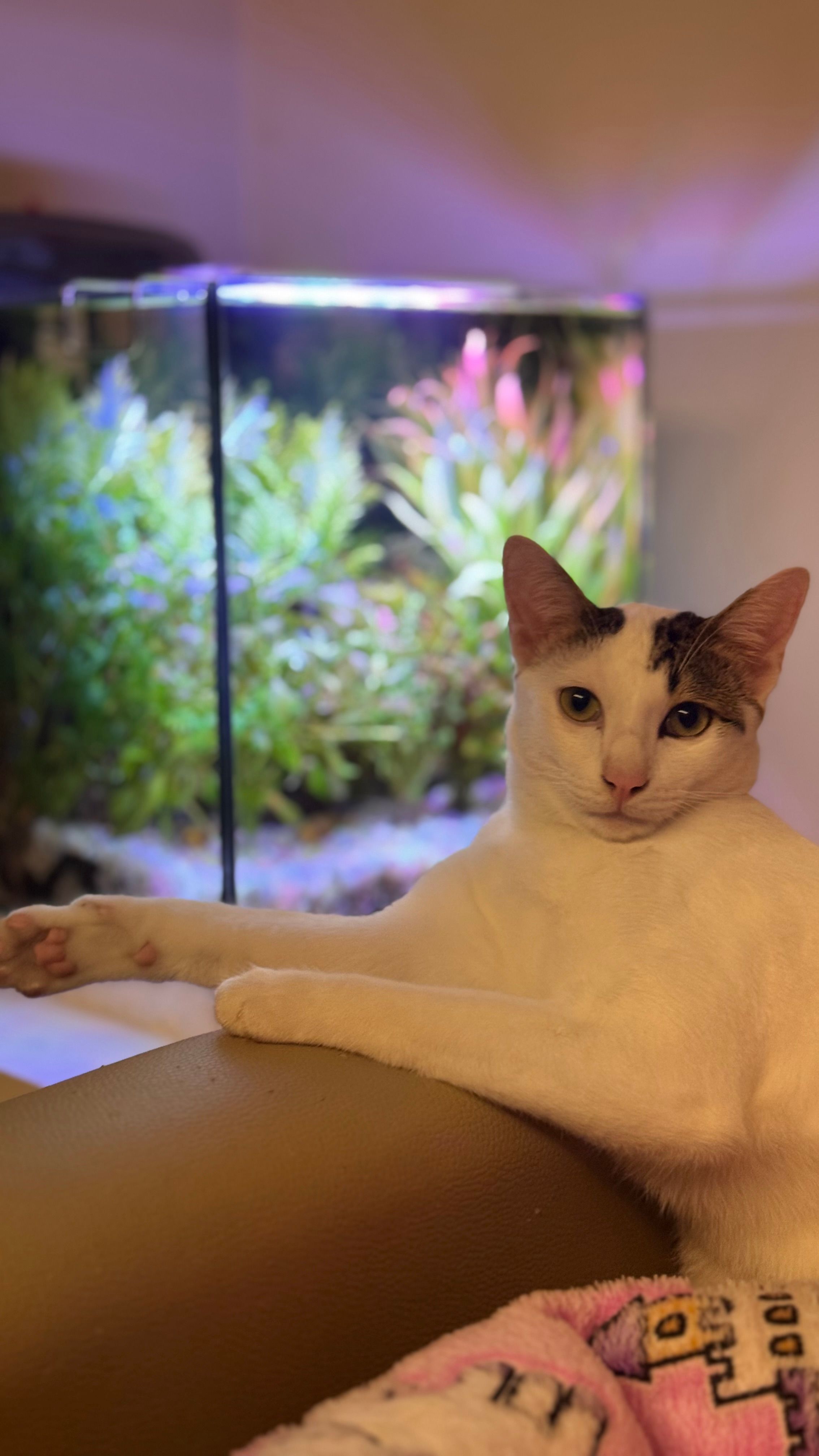 Oreo - ซอยสุขุมวิท 39, Bangkok