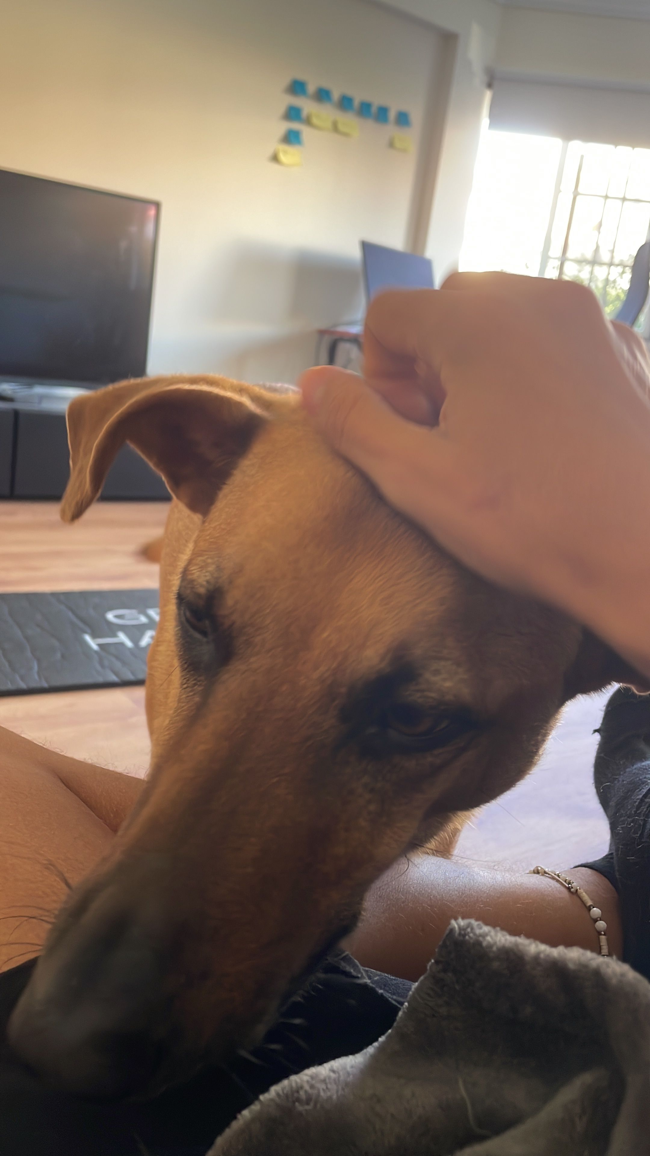 Tobby - Rua Pêro de Escobar 133, Estoril