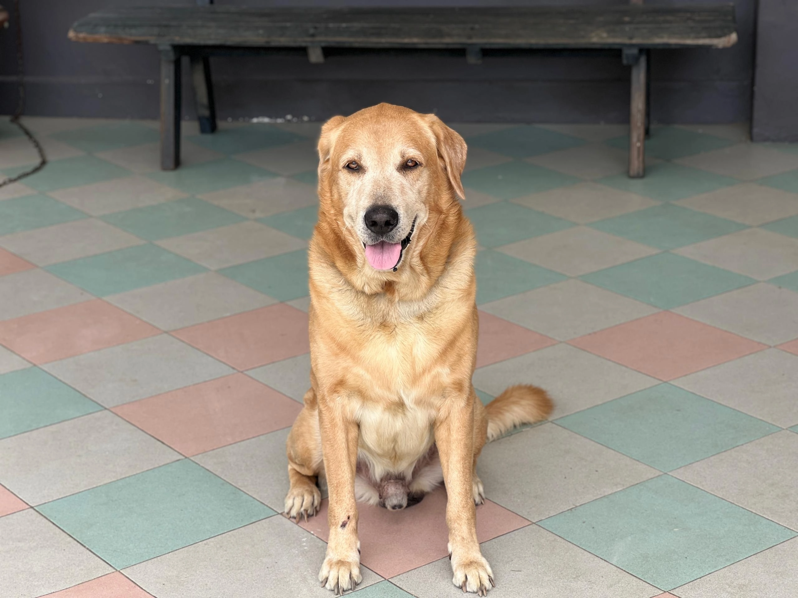 Max - 80300, Johor Bahru