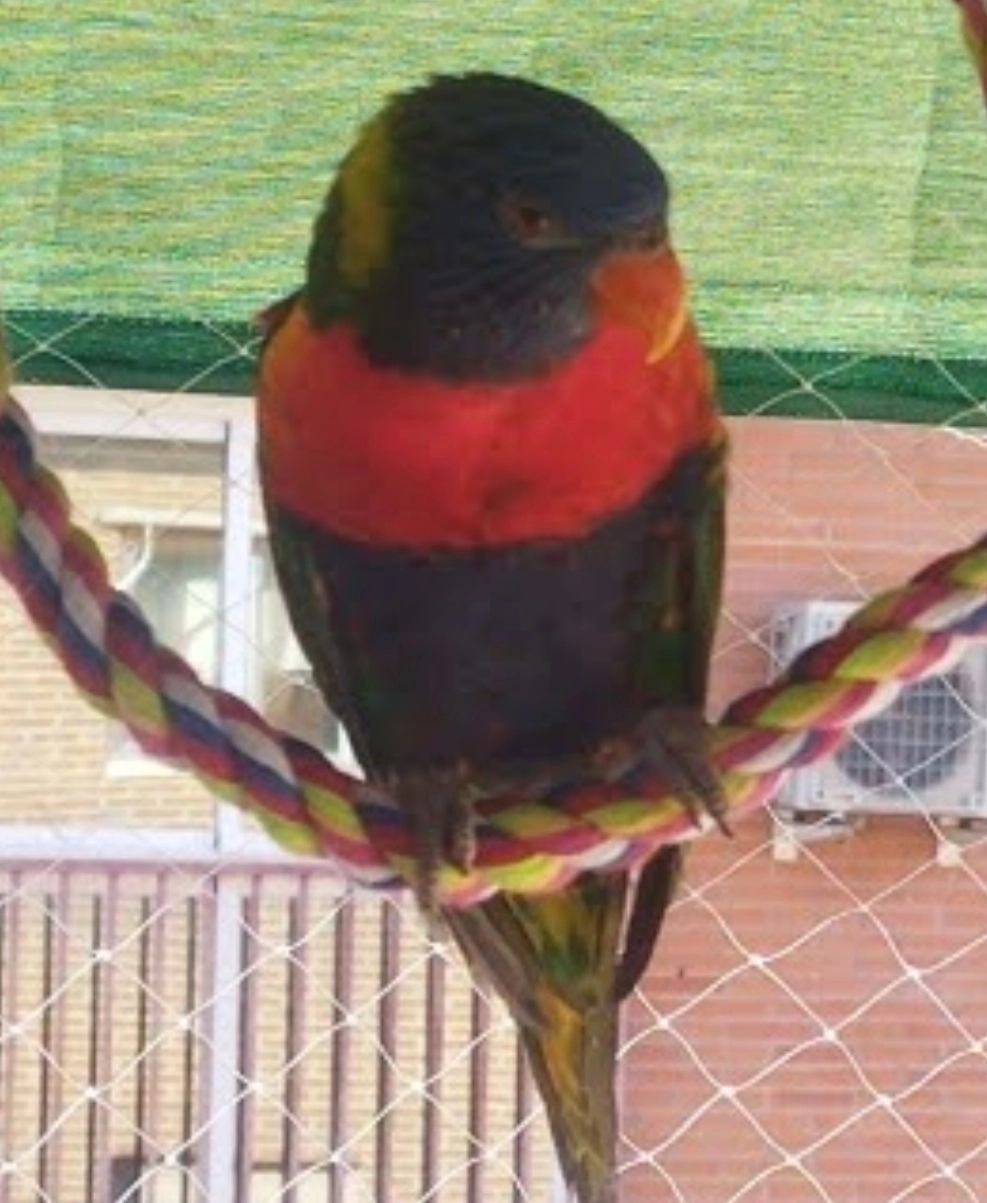 Tormenta - Travesía De La Primavera, Aranjuez