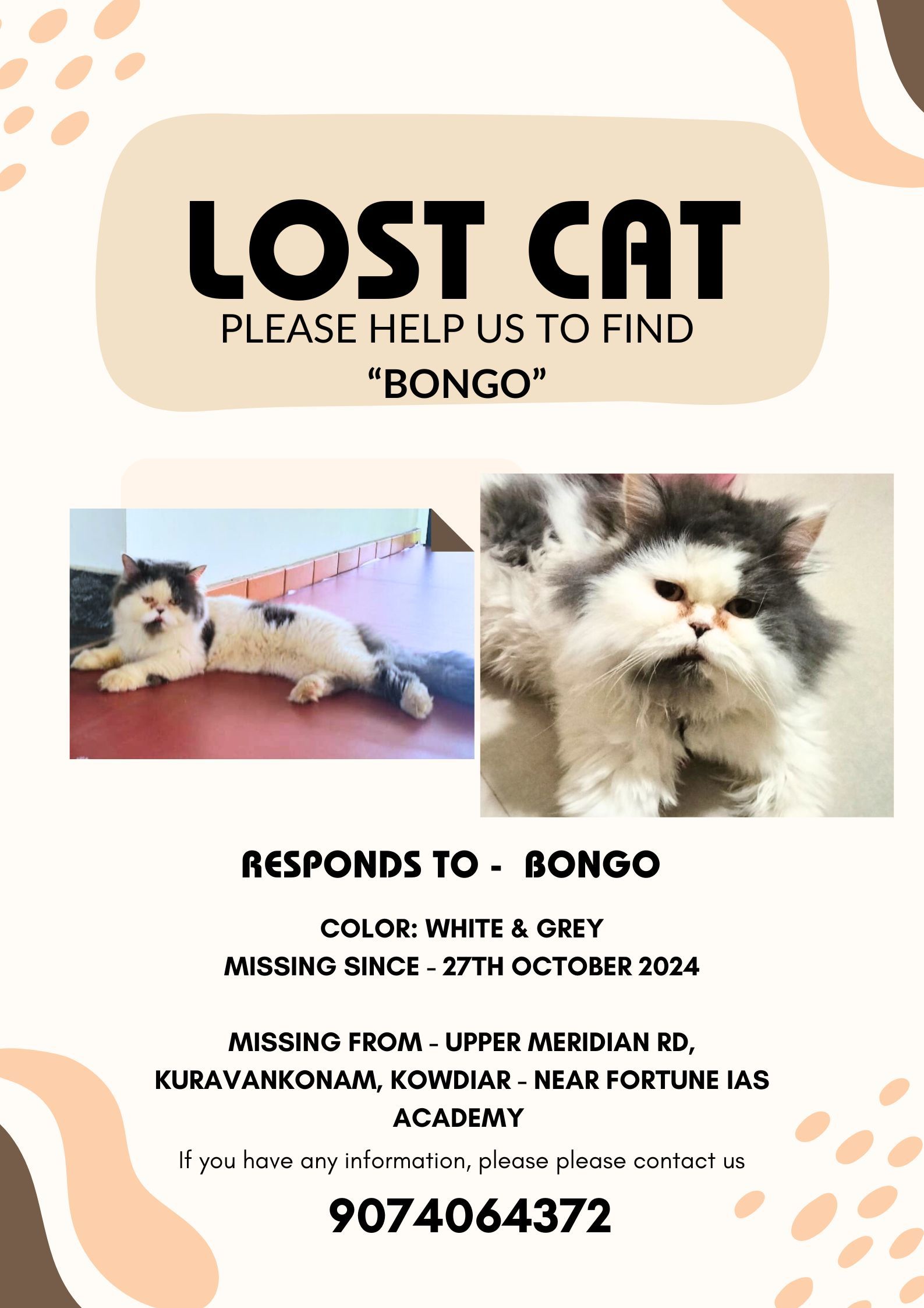 Bongo  - Upper Meridien Road, Thiruvananthapuram