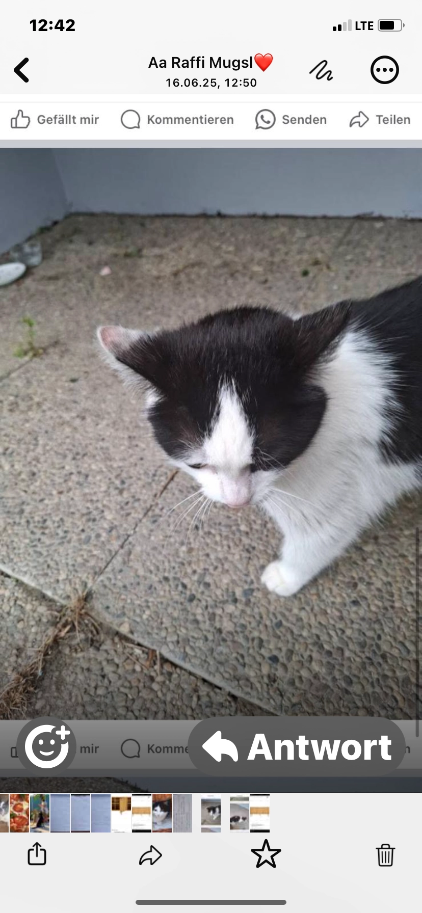 Vito - Wattener Weg, Volders