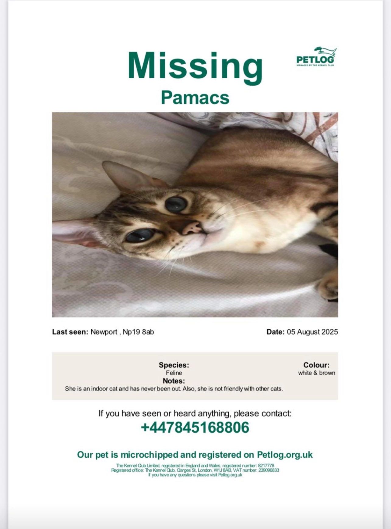 Pamacs - Beechwood Crescent, Alway