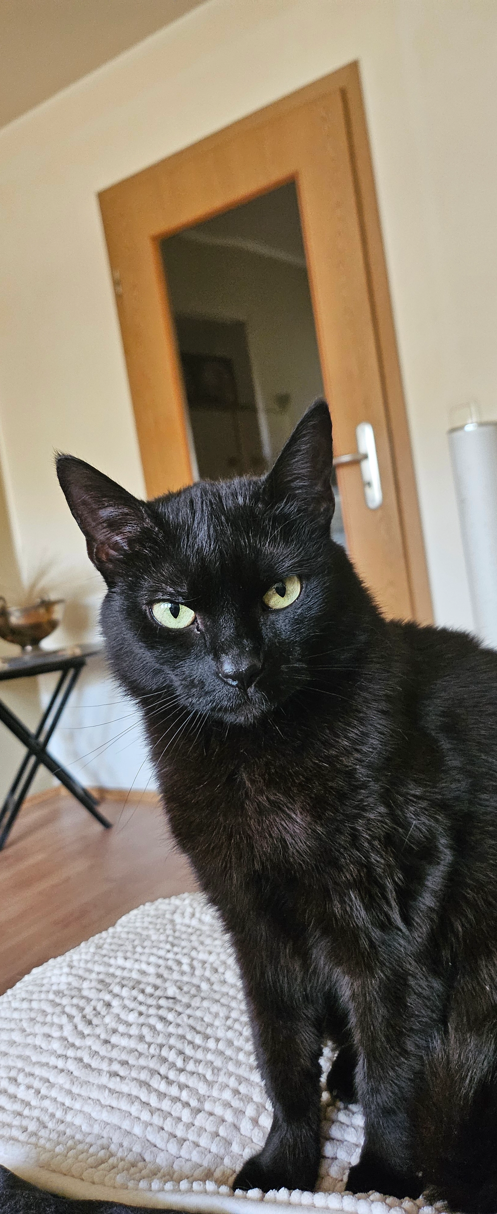 Luna - Heinz-Hilpert-Straße, München