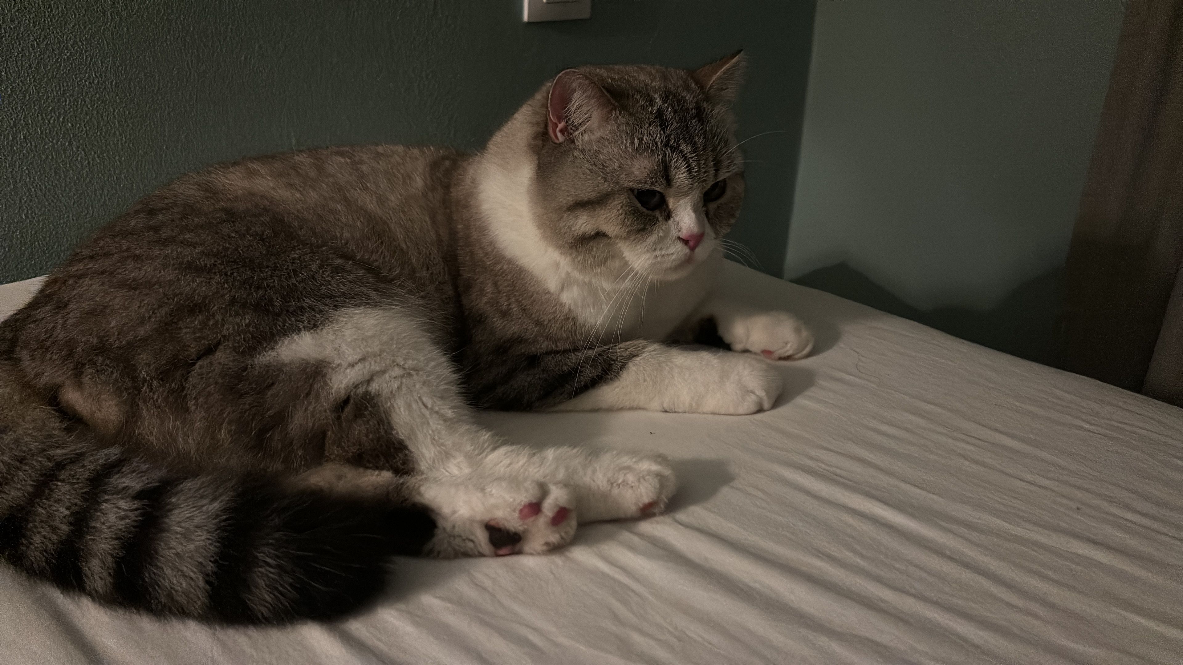 Nicky - Urbanização do Espartal 66, Aljezur