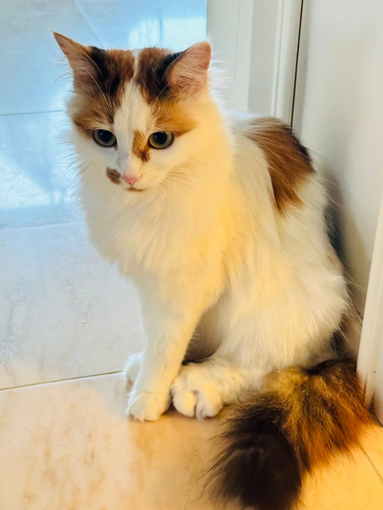 Stella - Schlösslistrasse, Ebikon