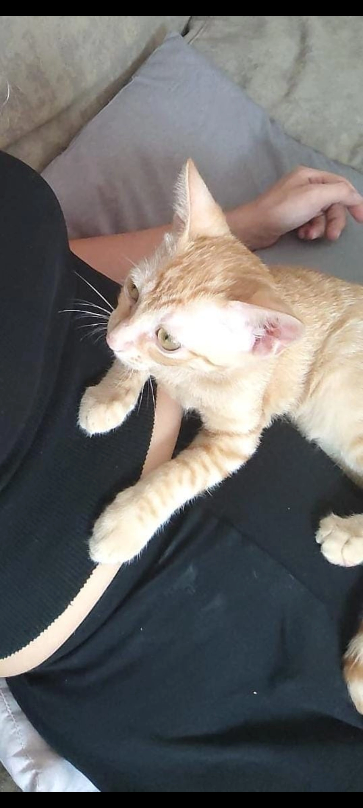 Coco - Calle de Ricardo Martínez, Molina de Segura