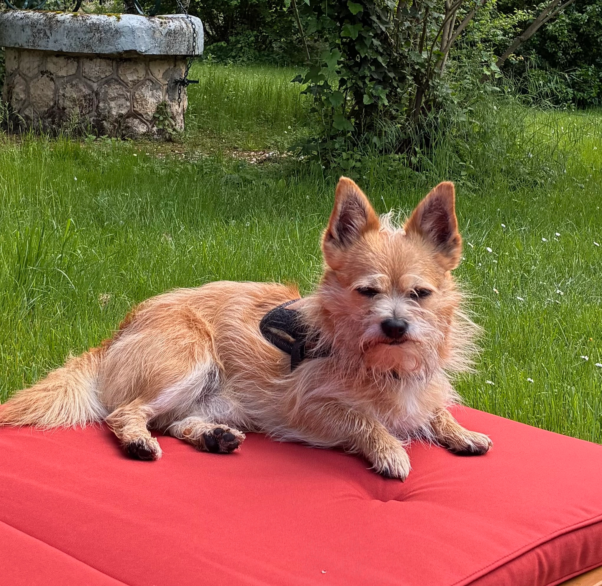 Raymond  - 89 Route du Chambon, Marsac-sur-l'Isle