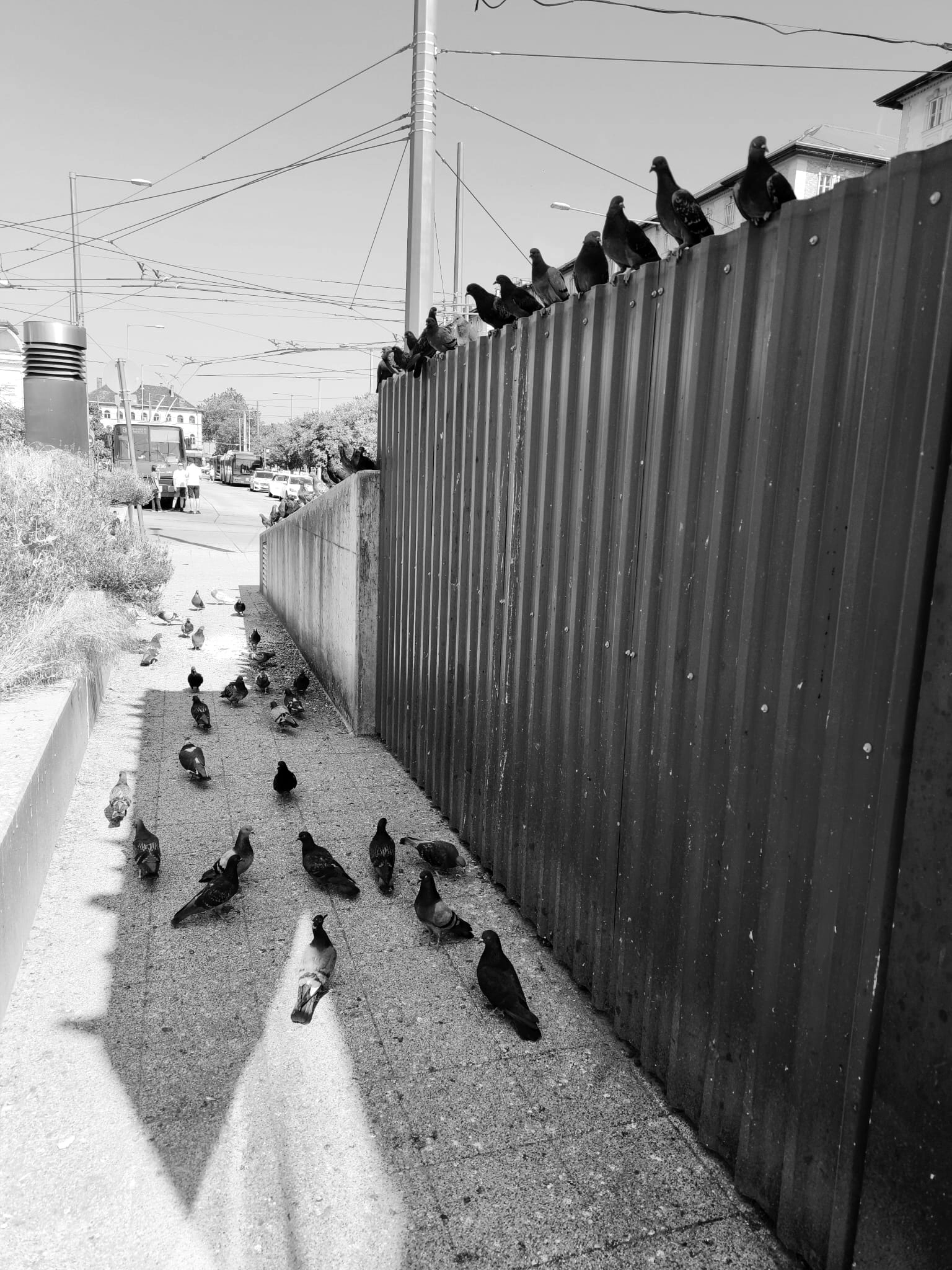 Charly - Bahnhofstraße, Großkarolinenfeld