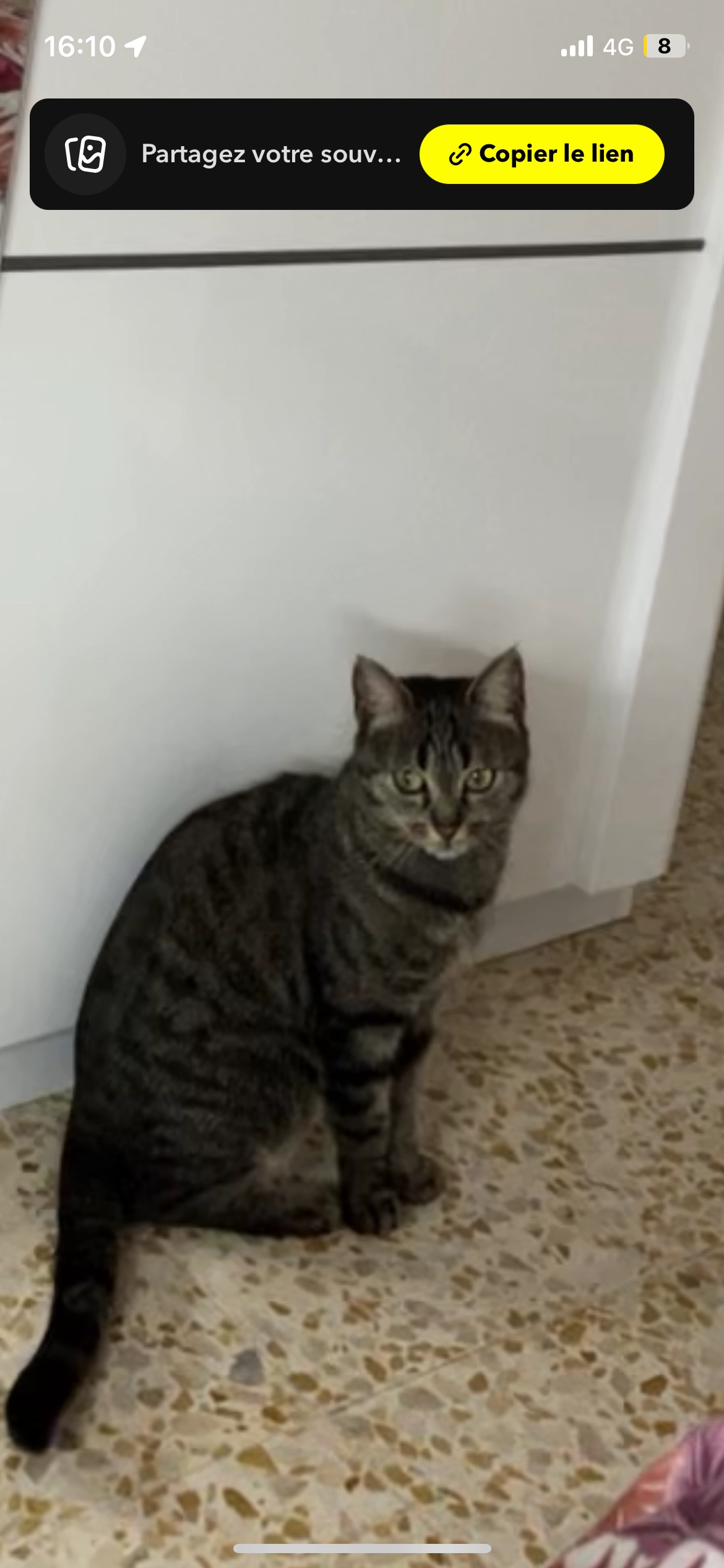 Nina - Route du Pont de Grabieux, Alès