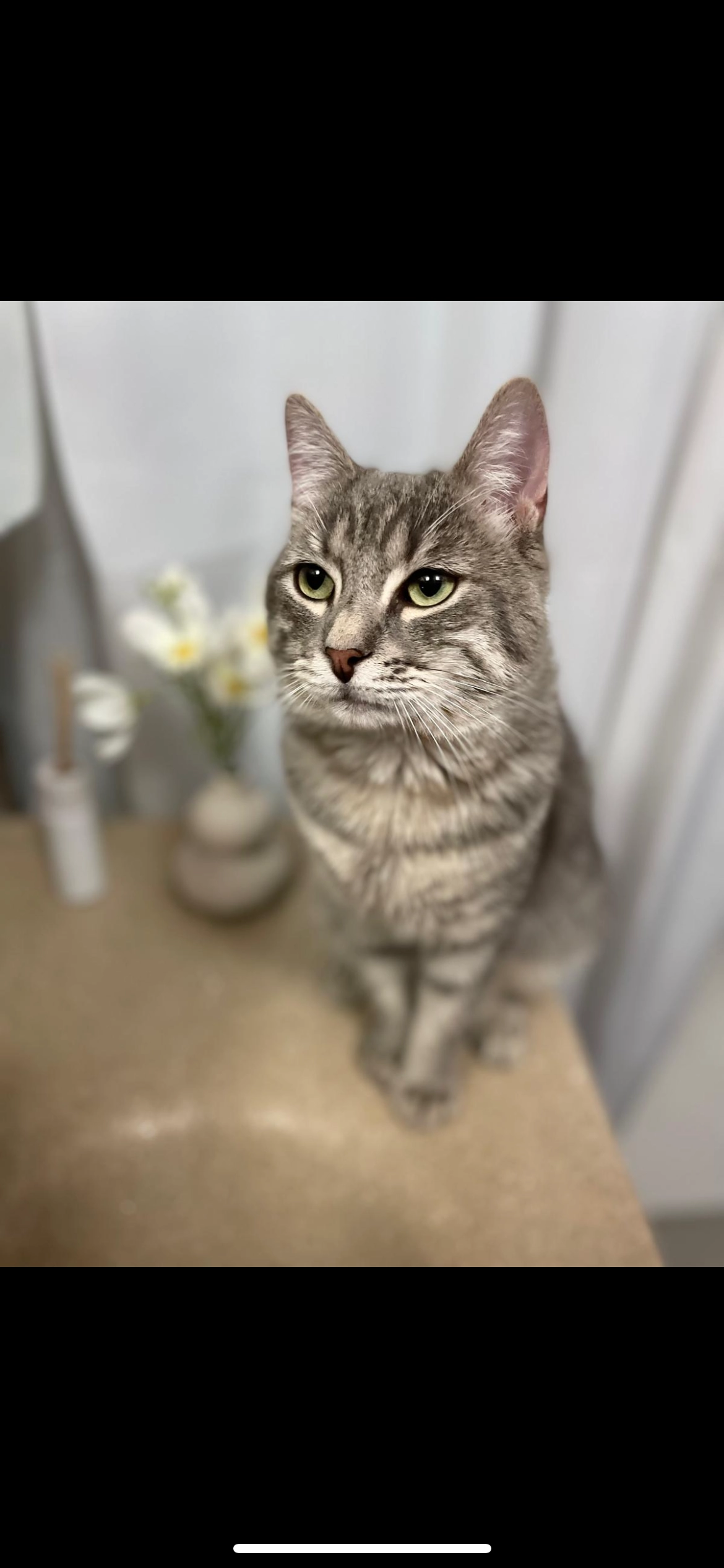 Djaleel - Allée Paul Gauguin, Évry-Courcouronnes