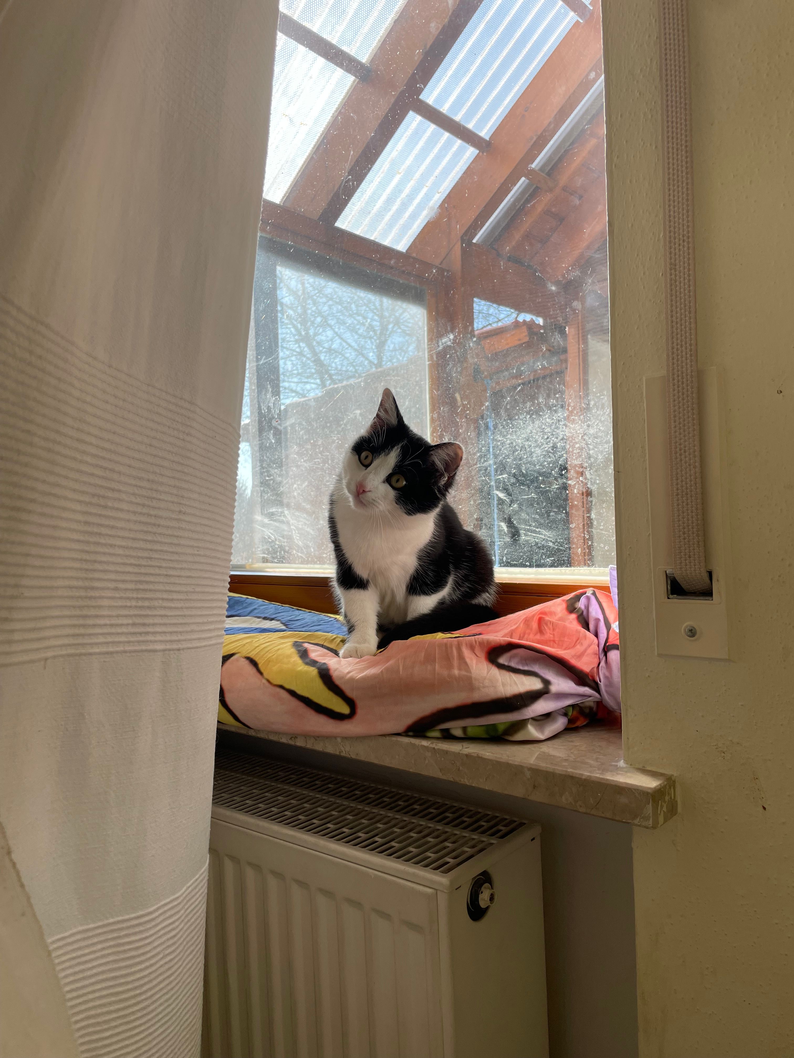 Minnie - Am Zehenbühl, Freystadt