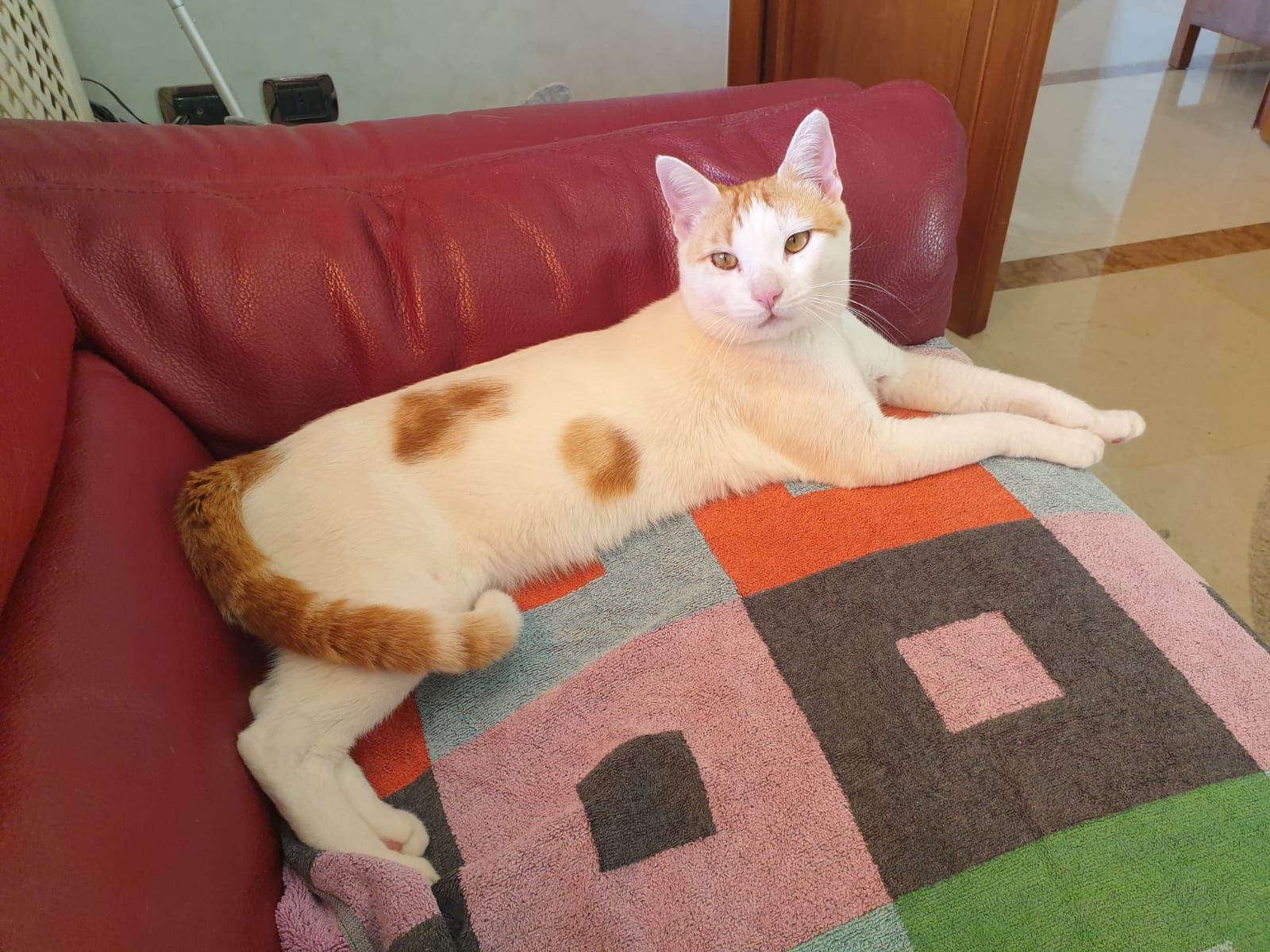 Grusha - Strada Tremmilia, Syracuse