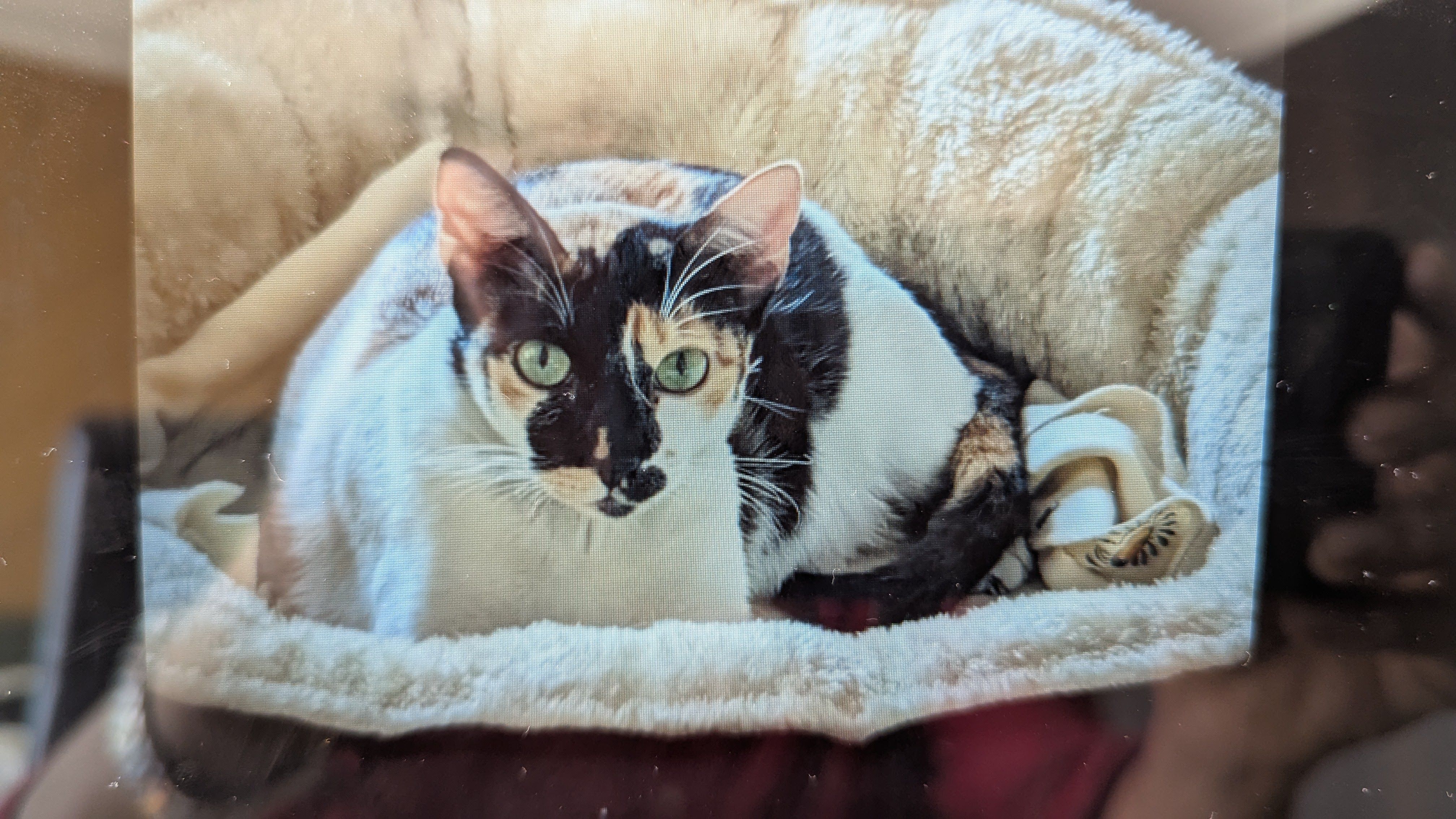 Tia - Kalyani Nagar, Pune