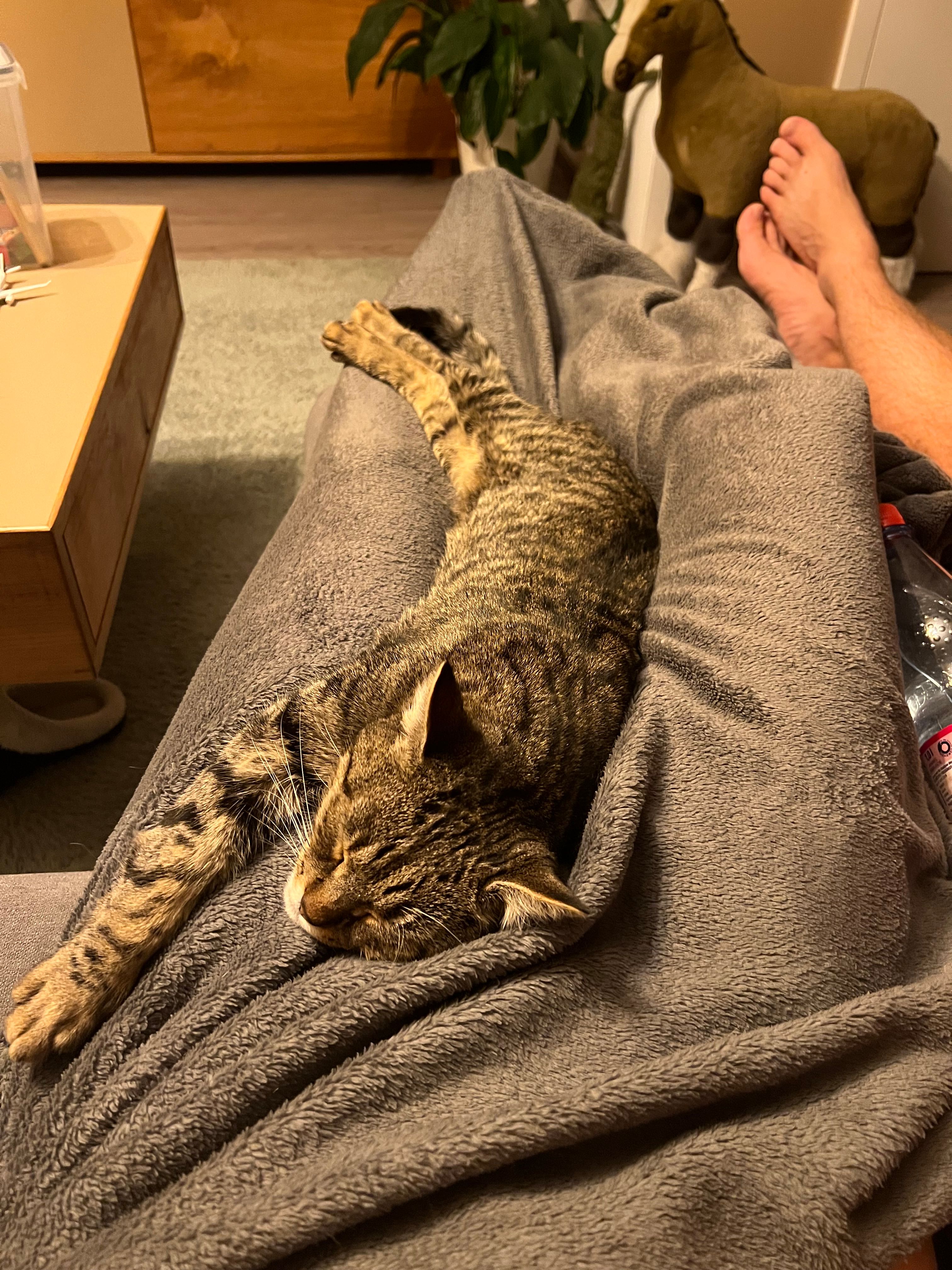 Frieda  - Pomßener Straße 52, Parthenstein