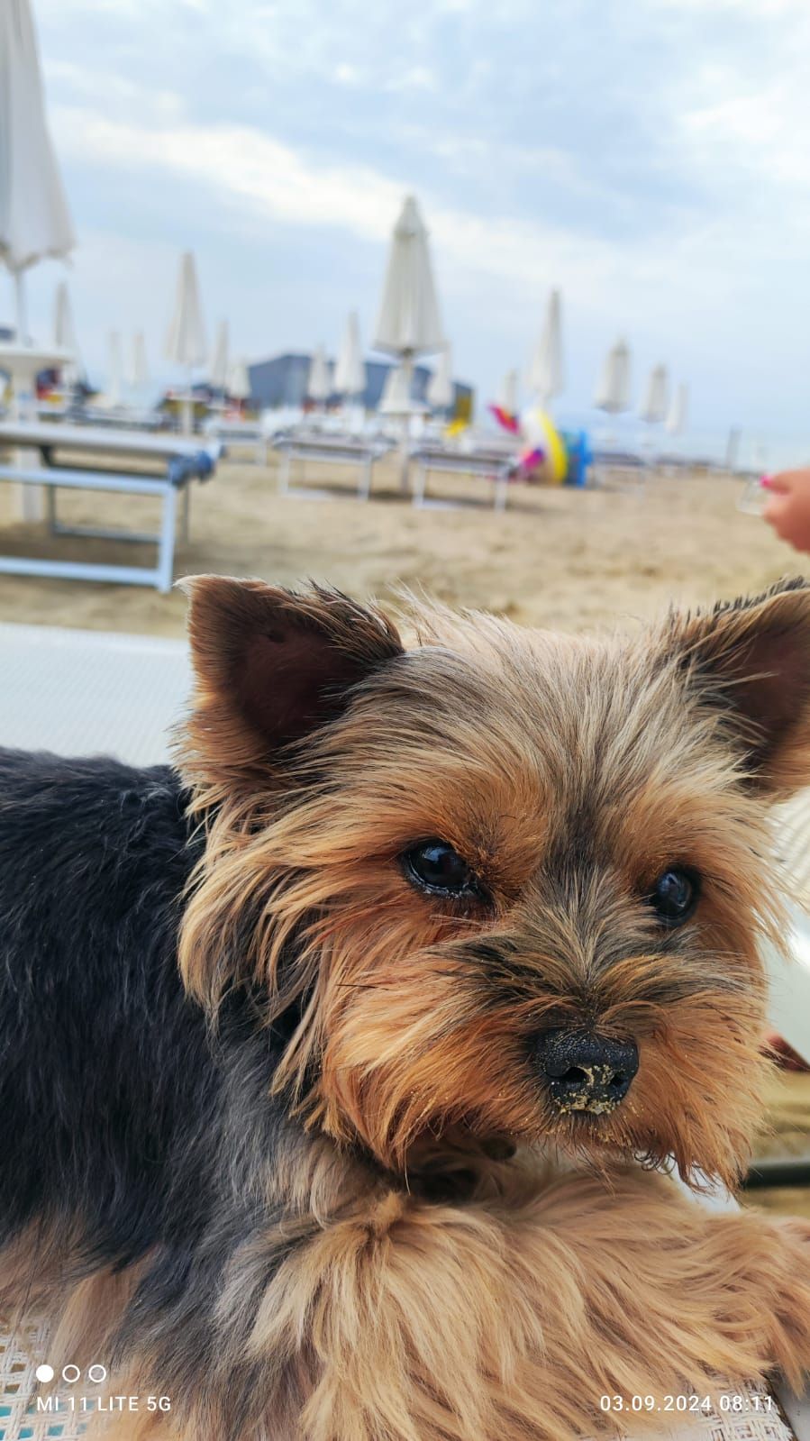 Chanel  - Via Andrea Bafile, Jesolo