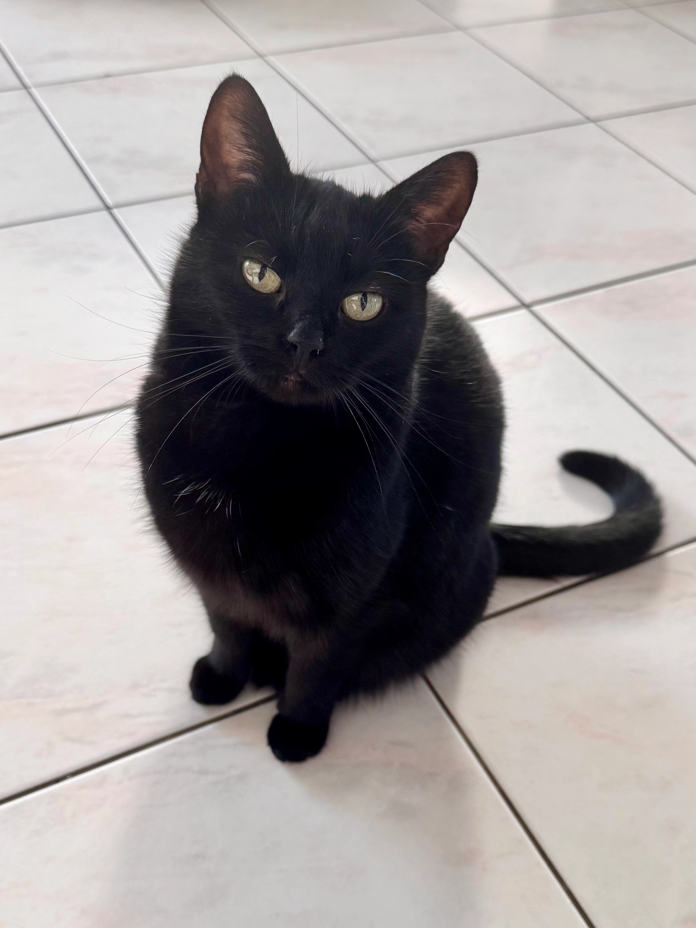 Bella - Forchenweg, Eutingen im Gäu