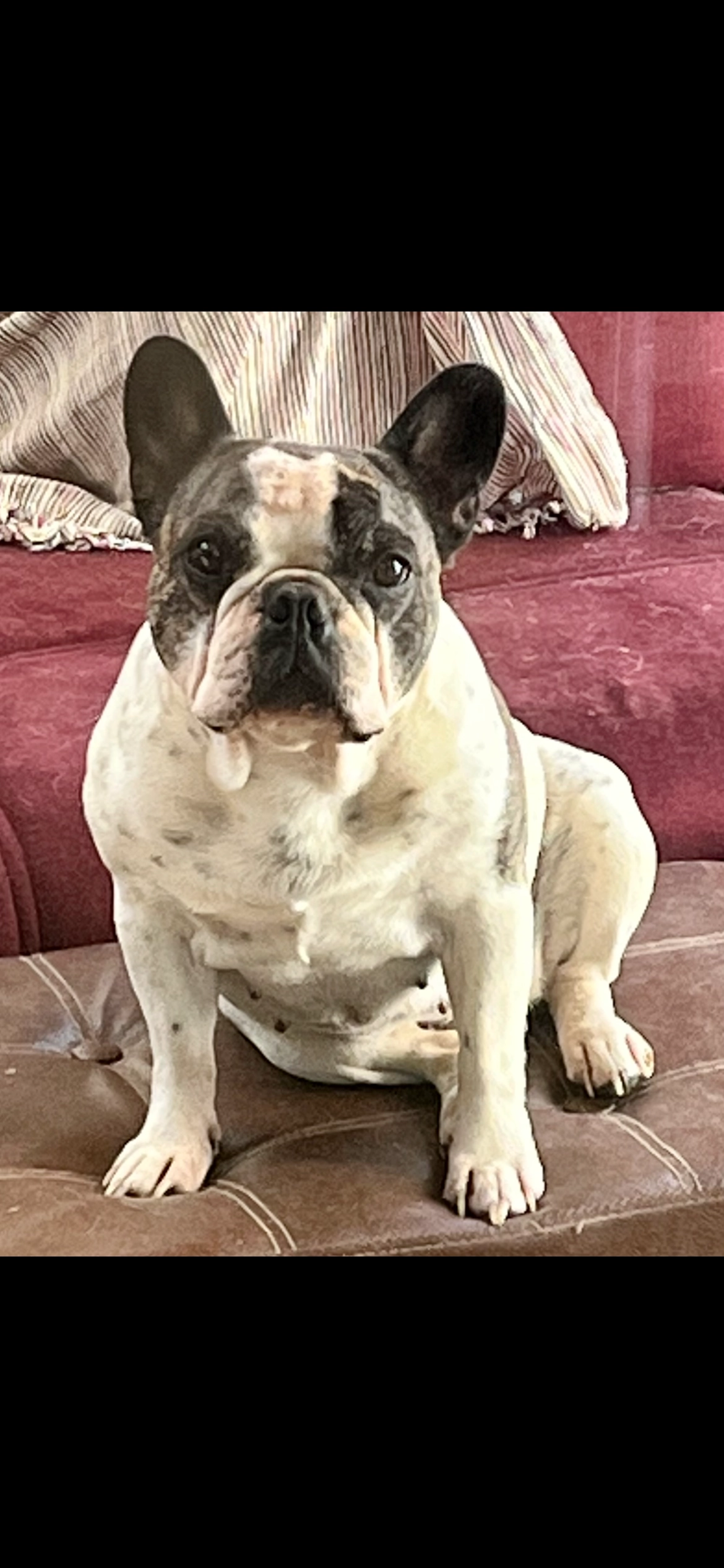 Martine - 8 Impasse des Traverses, Agde