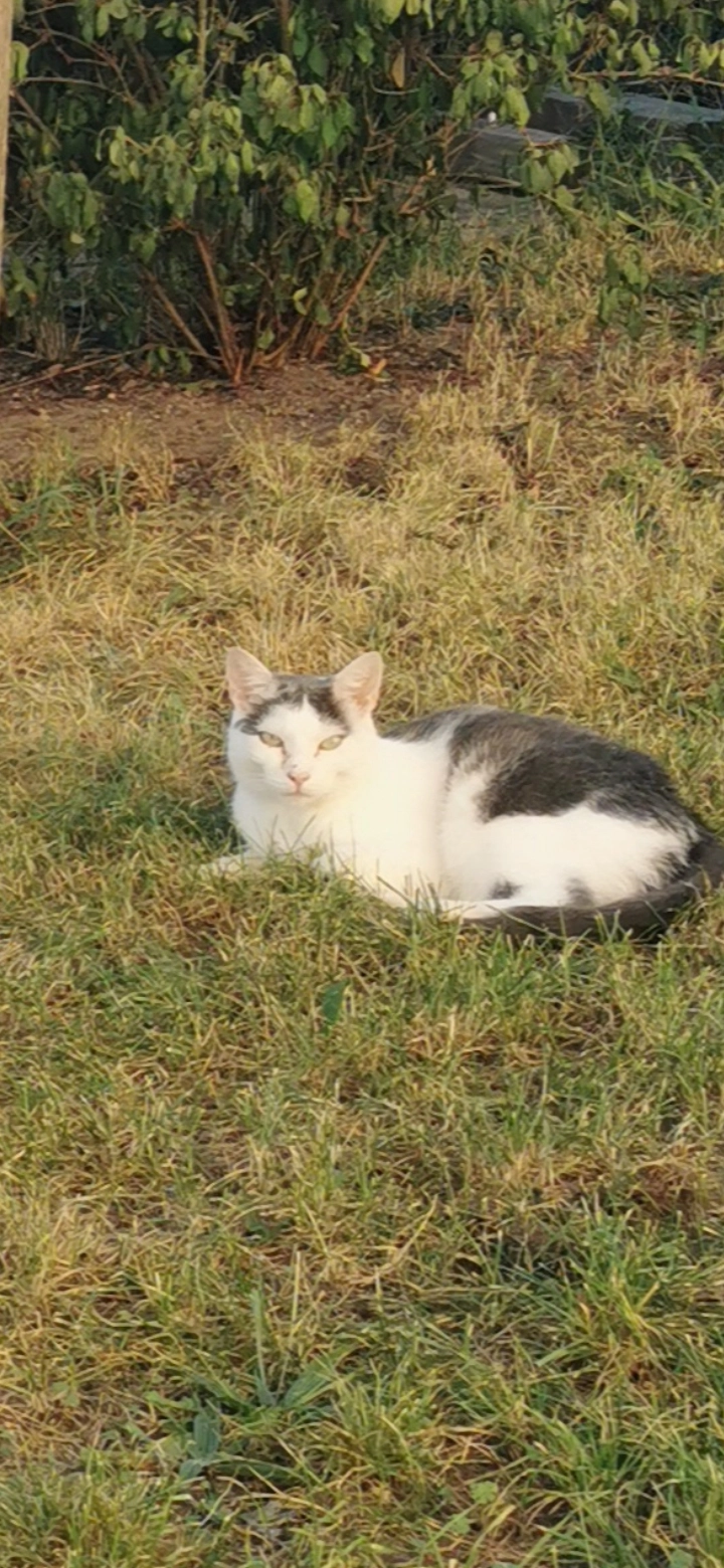 Emil - Heinrich-Fickenscher-Straße, Bayreuth