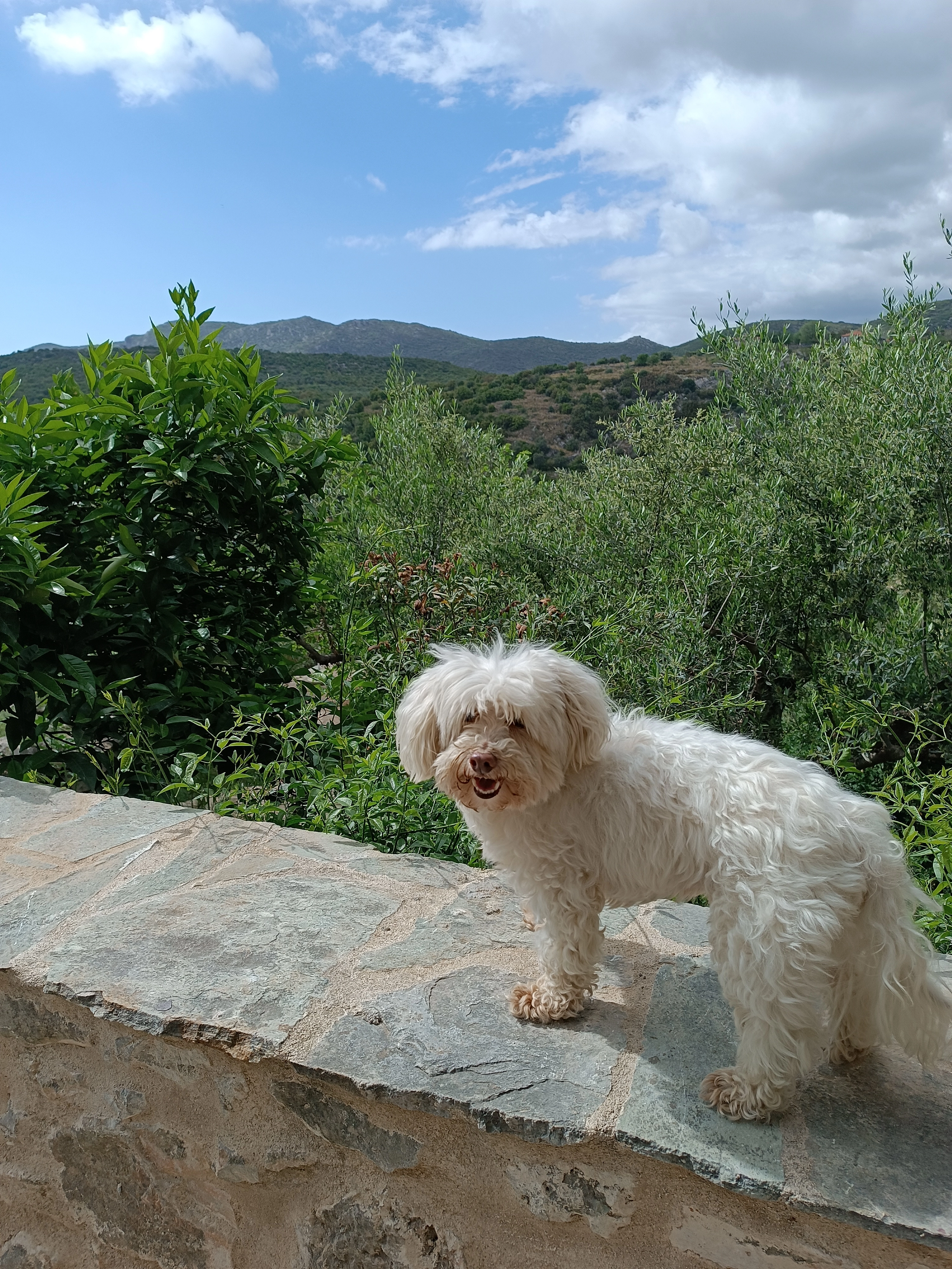 Gasper  - 59 Rue Pasteur, Bouguenais