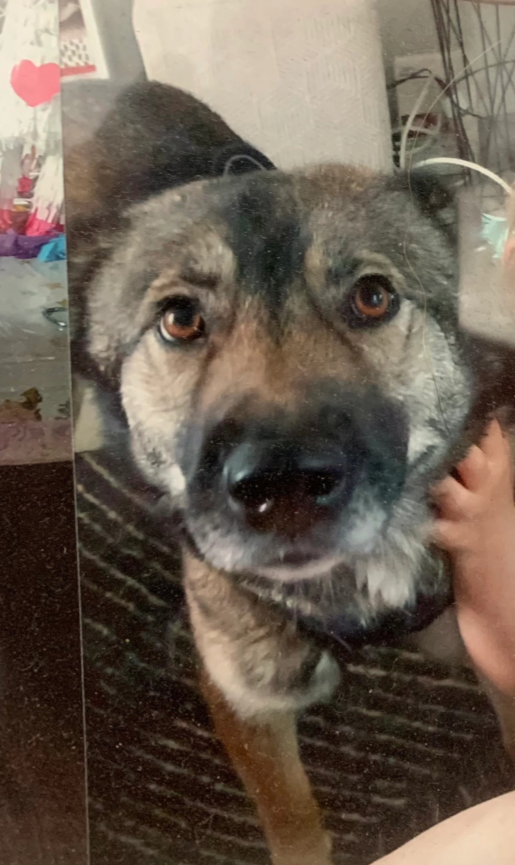 Ruby - 344 Avenue Napoléon Bonaparte, Rueil-Malmaison