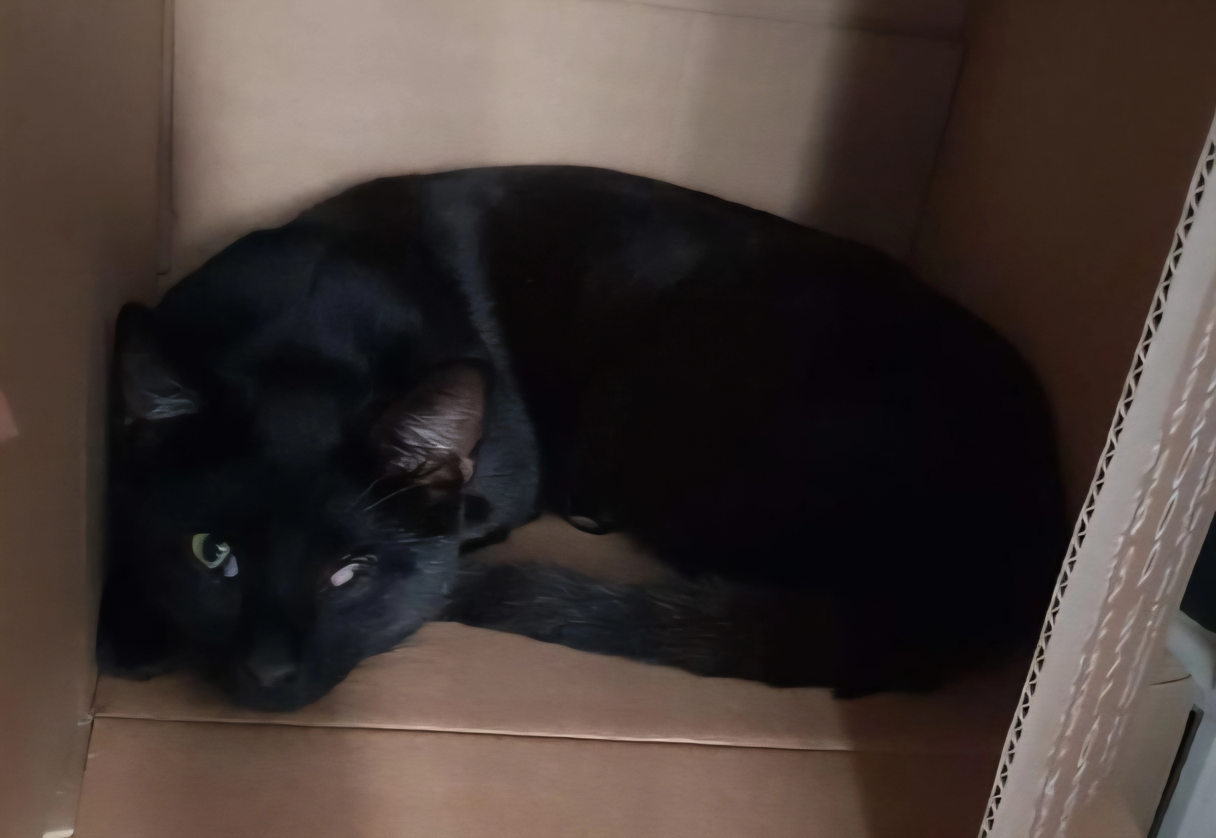 Onyx - Yoxall Drive, Derby